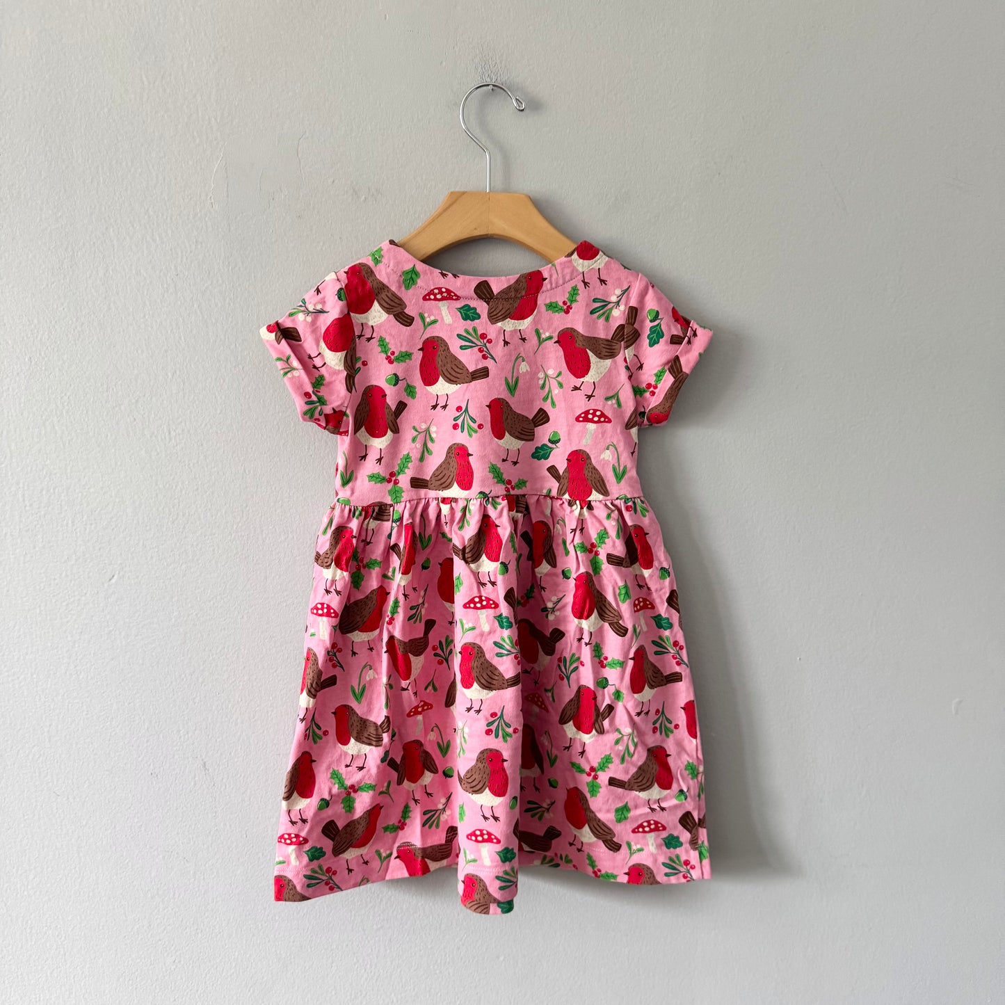 Mini Boden / Pink x bird & mushroom dress / 4-5Y