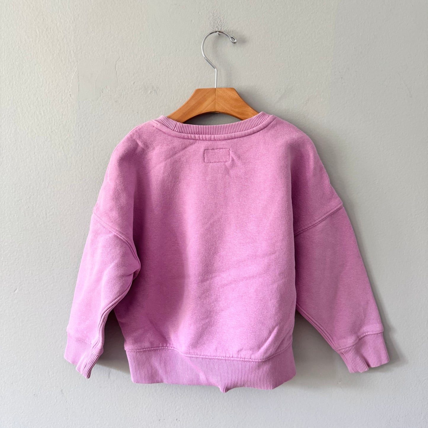 Roots / Purple sweatshirt / 5T