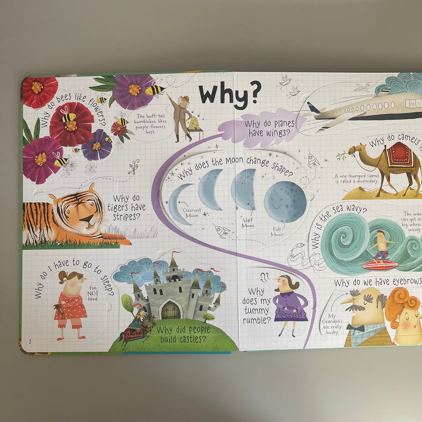 Usborne Lift-the-flap - Questions and Answers