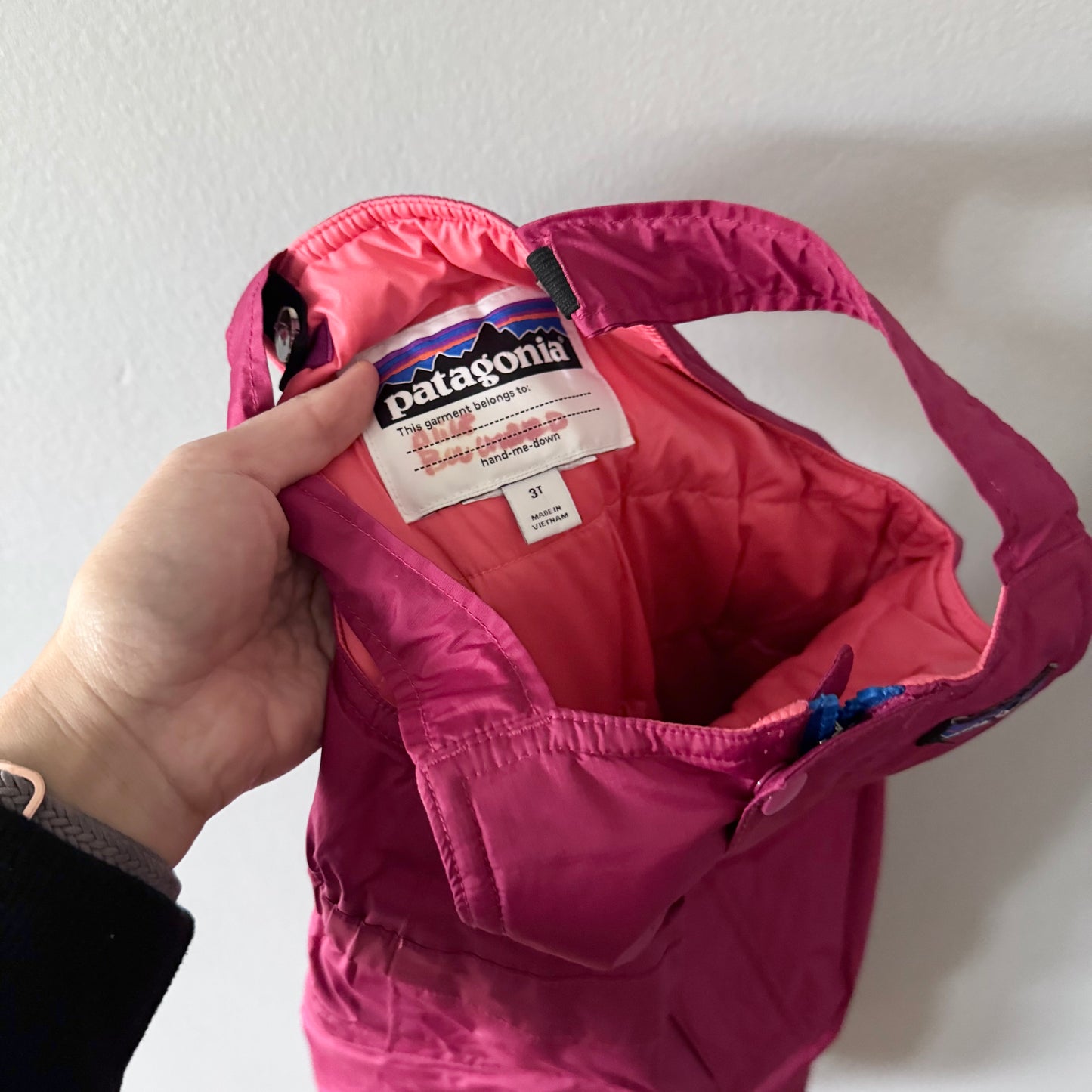 Patagonia / Snow pants / 3T