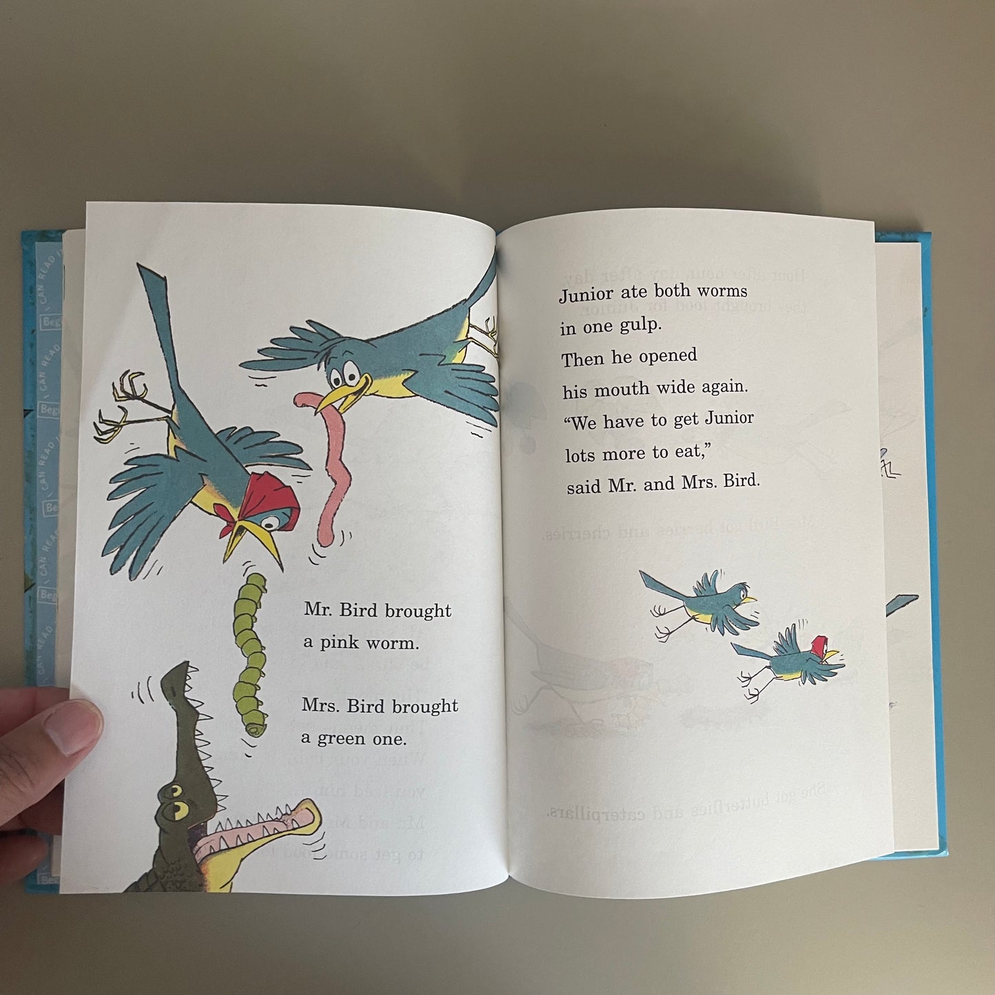 Flap Your Wings / P.D. Eastman