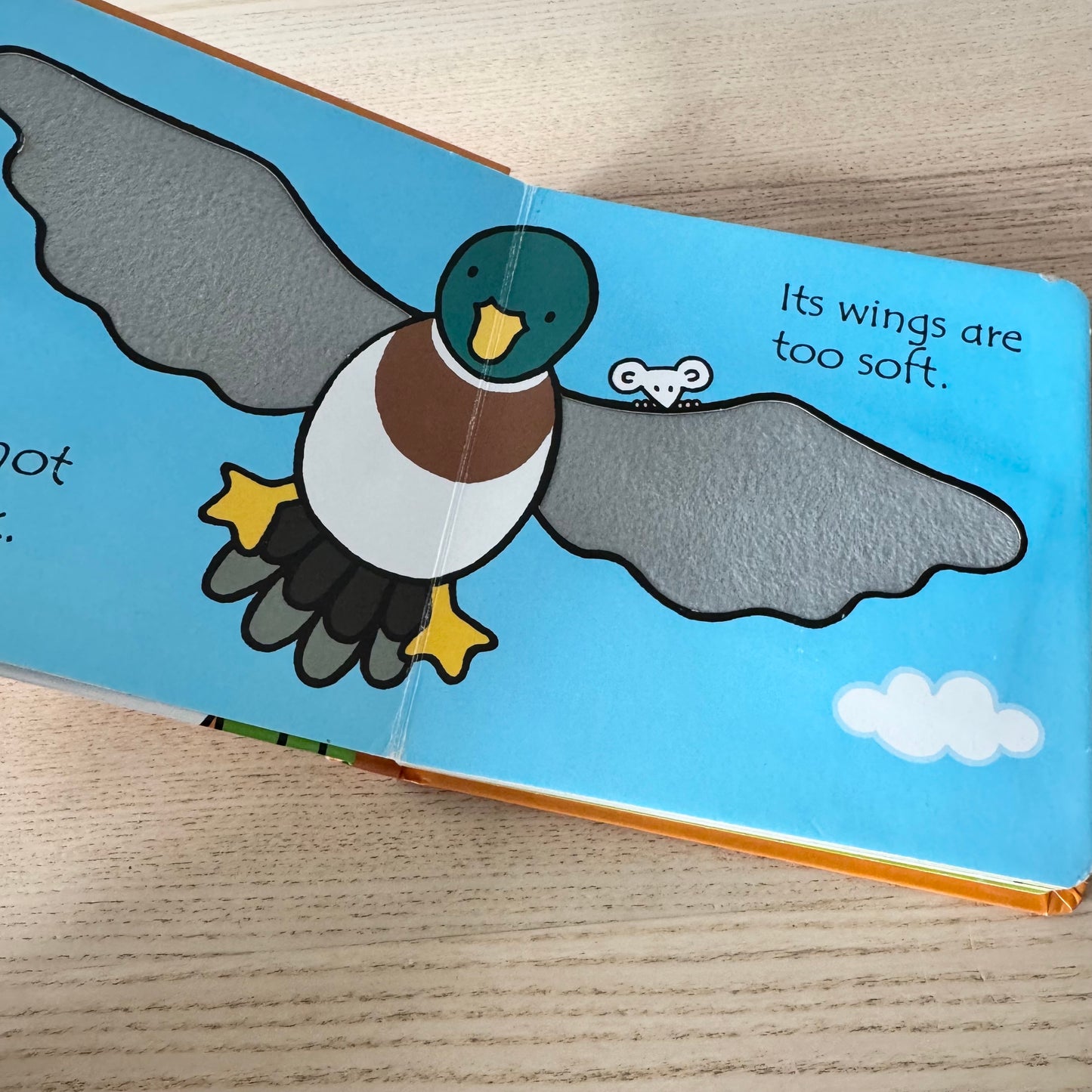 Usborne touchy-freely books - That's not my duck