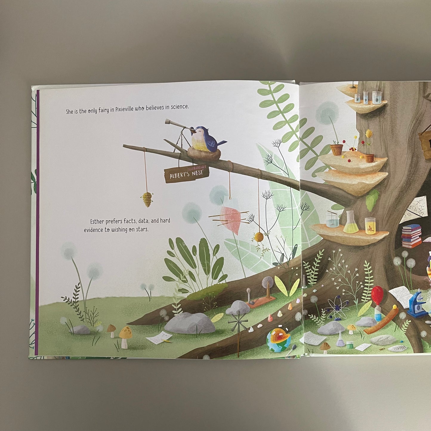 Fairy Science / Ashley Spires