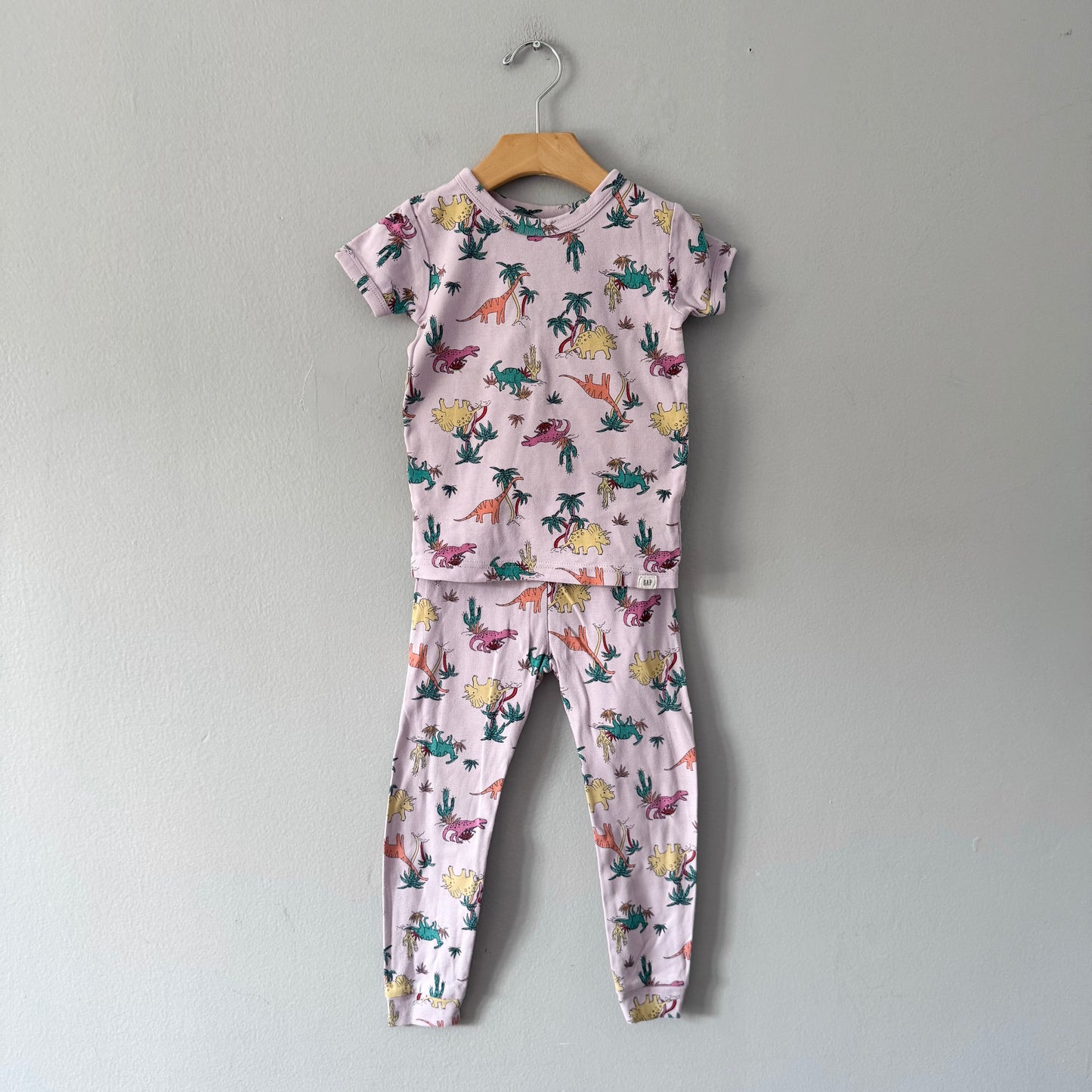 Gap / Lavender x dinosaur pajama set / 4Y