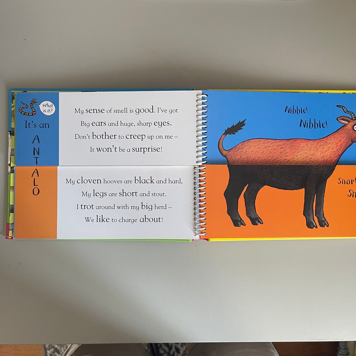 Flip Flap Safari / Axel Scheffler
