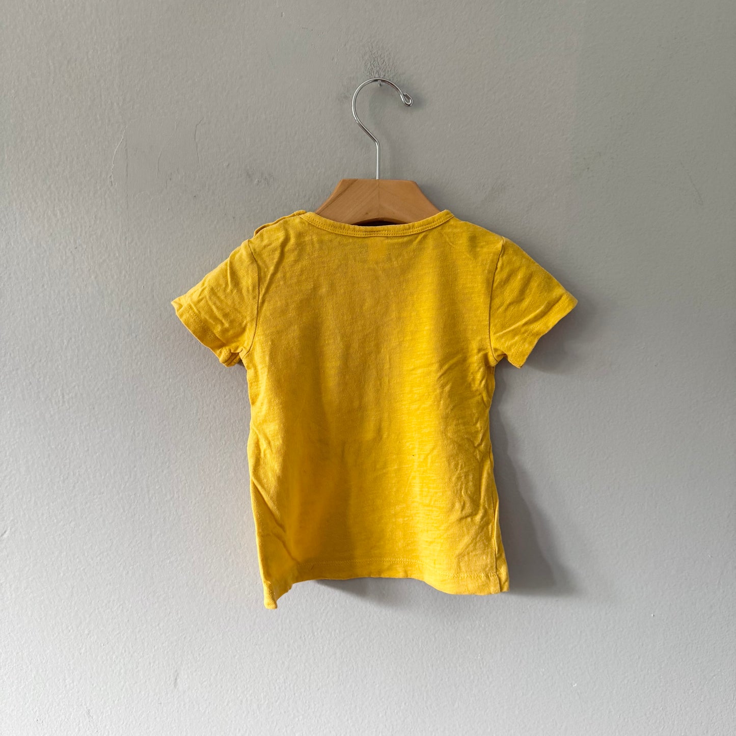 Petit lem / Yellow T-shirt / 18M