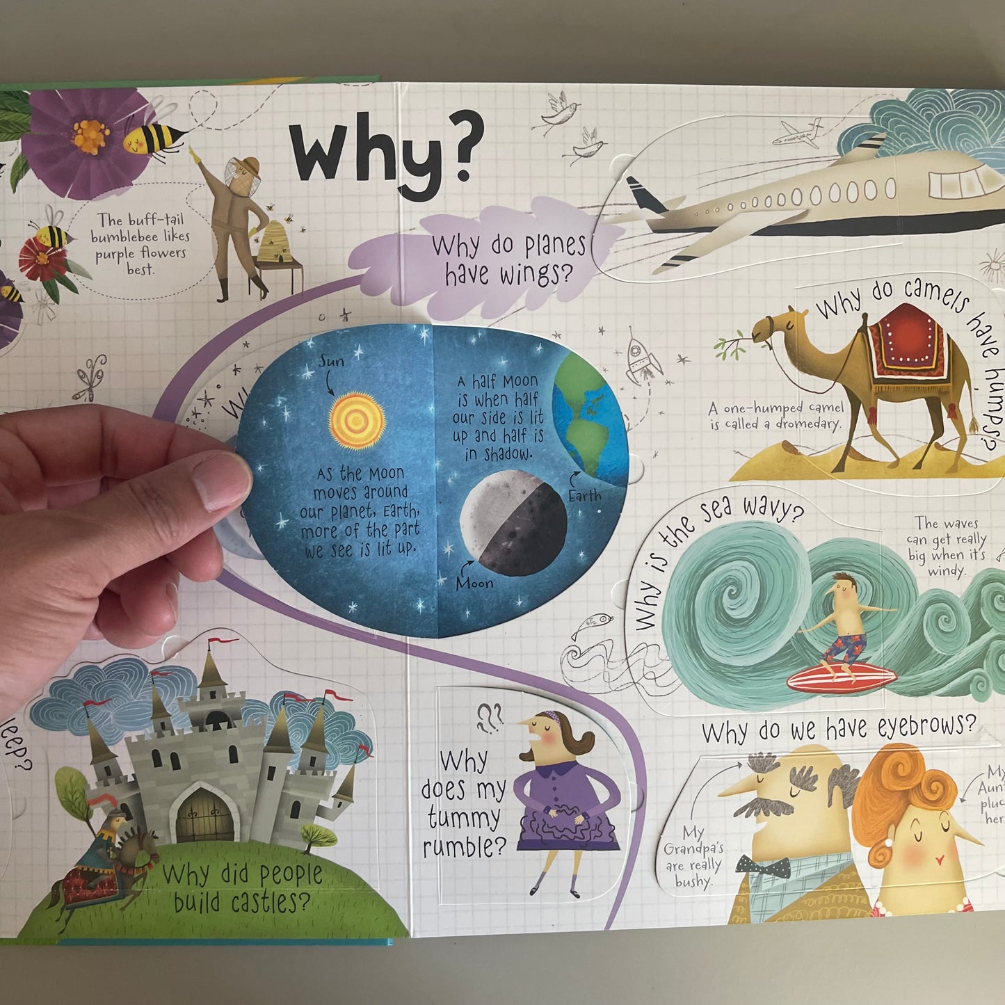 Usborne Lift-the-flap - Questions and Answers