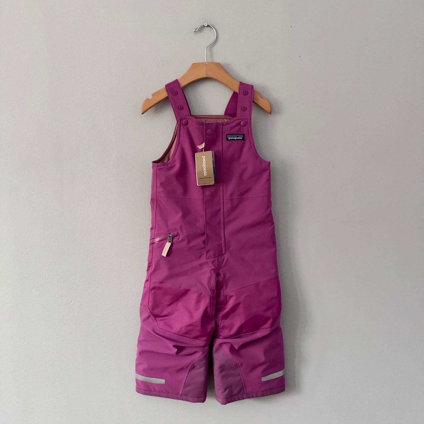 Patagonia / Toddler snow pants / 2T - New with tag
