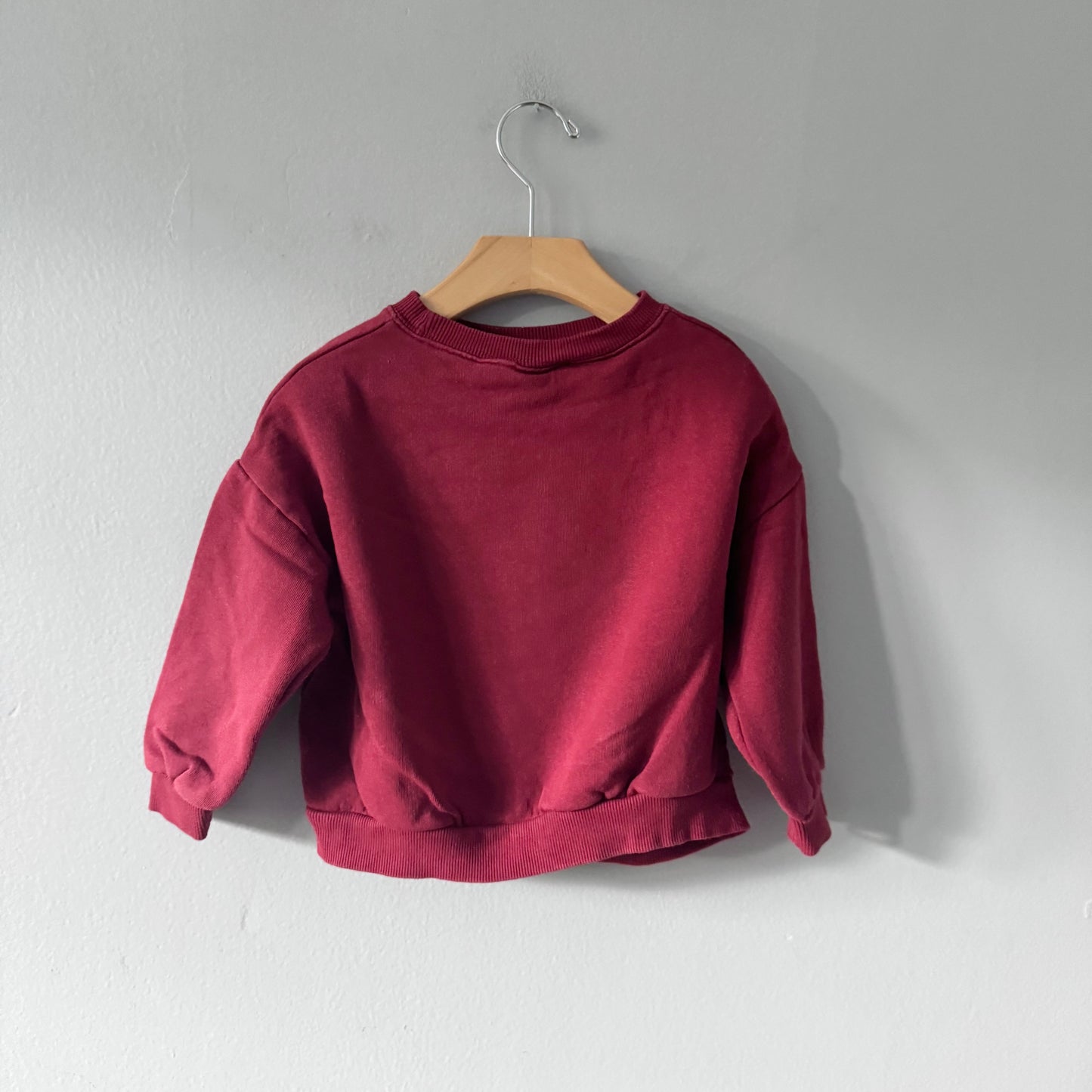 Zara / Bluey and Bingo sweatshirt / 4-5Y