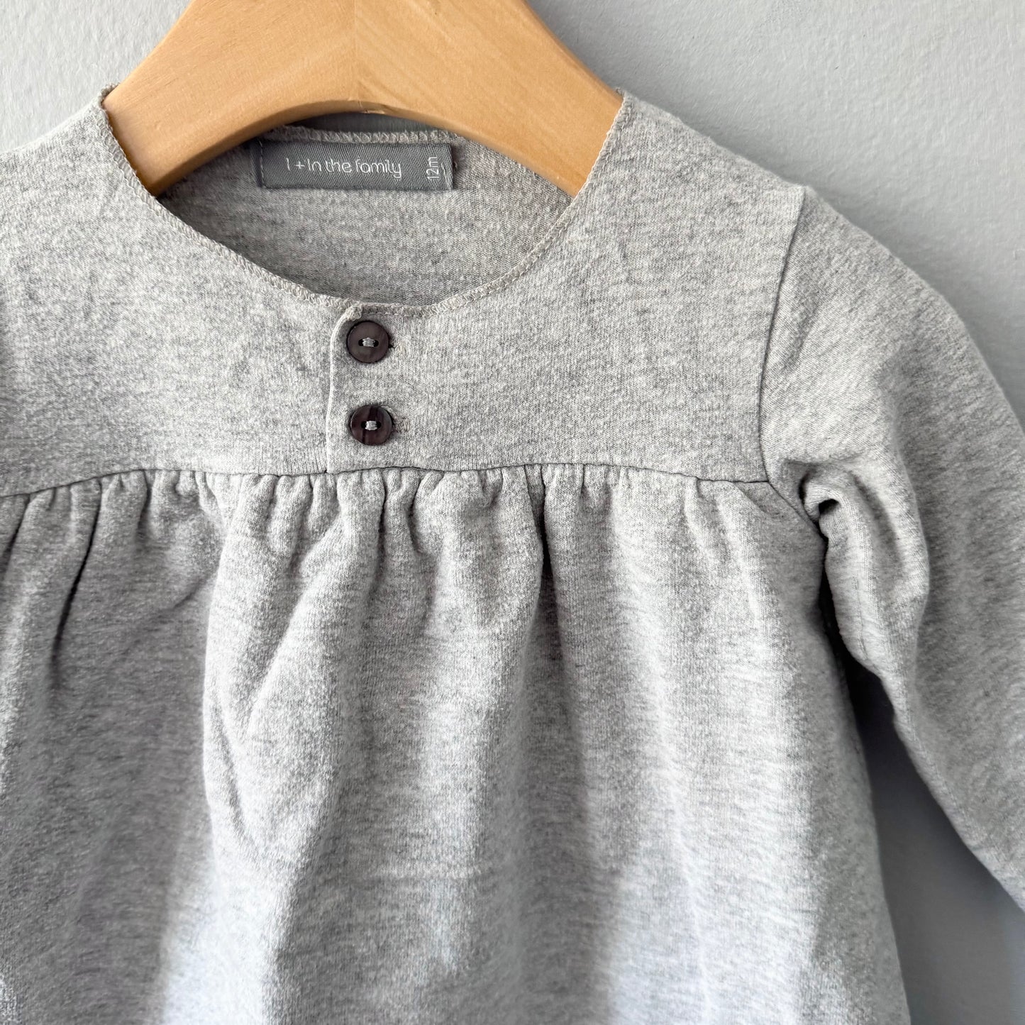 1+ in the family / Light grey dress / 12M