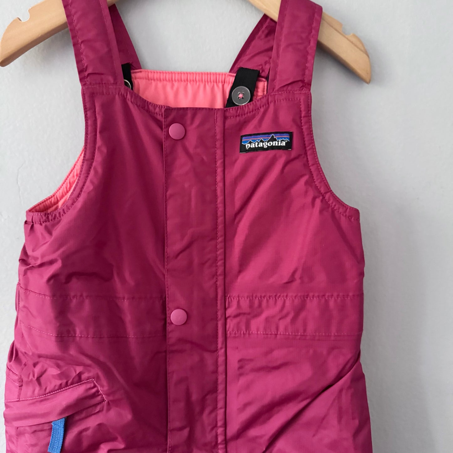 Patagonia / Snow pants / 3T