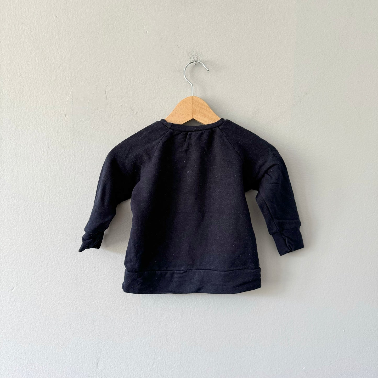 Posh & Cozy / Love always wins sweatshirt / 6-12M