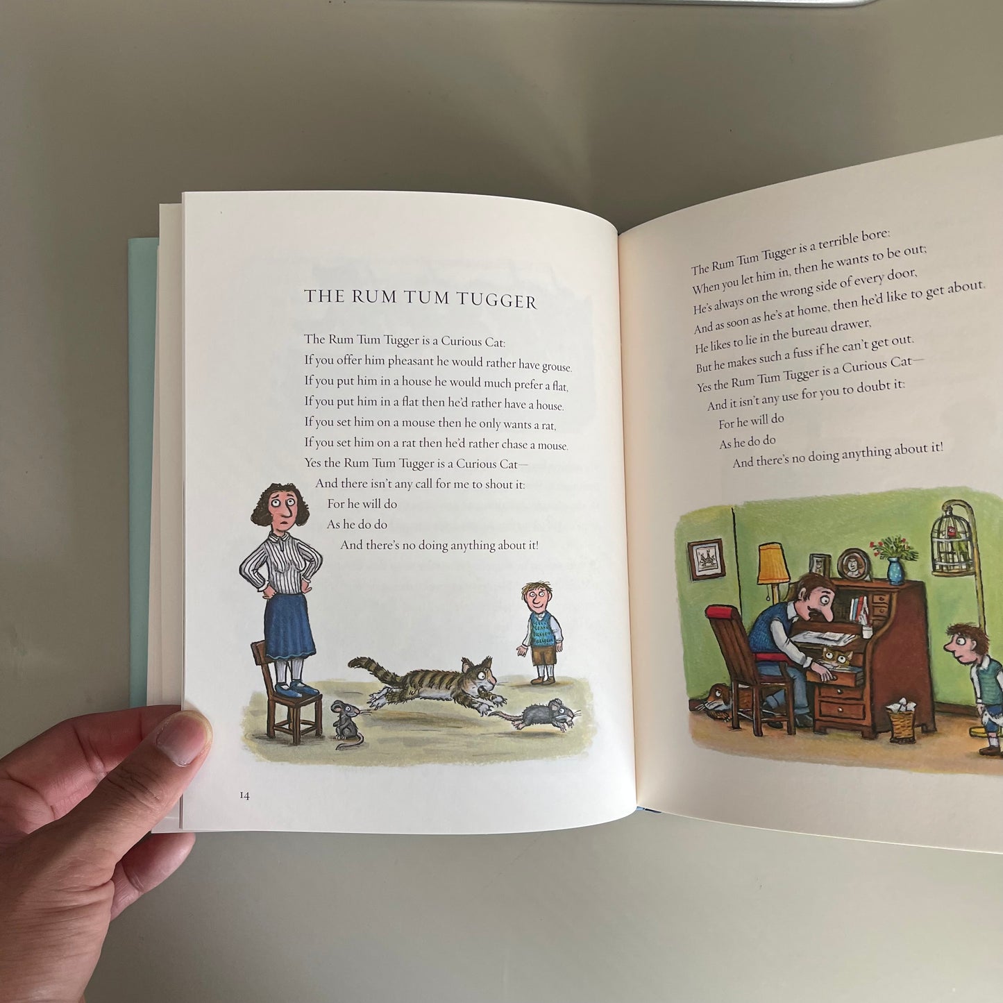 Old Possum's Book of Practical Cats / T.S Eliot & Axel Scheffler
