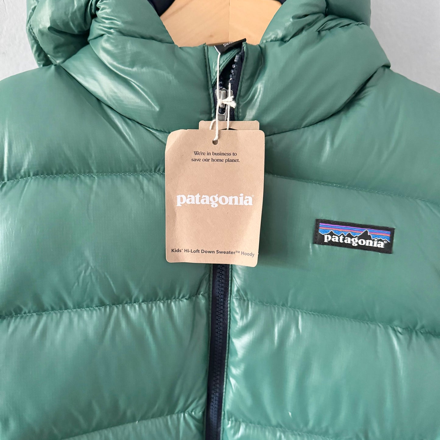Patagonia / Kids Hi-Loft Down Sweater™ Hoody / 5-6T - New with tag