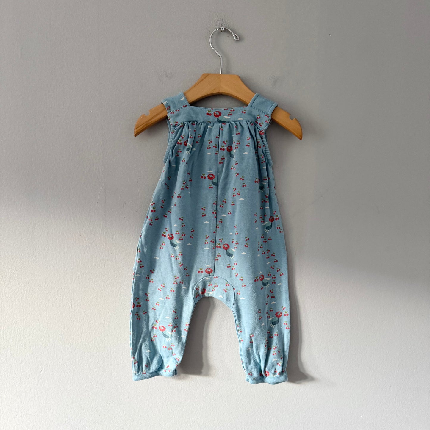 Little Green Radicals / Blue cotton overall / 6-9M