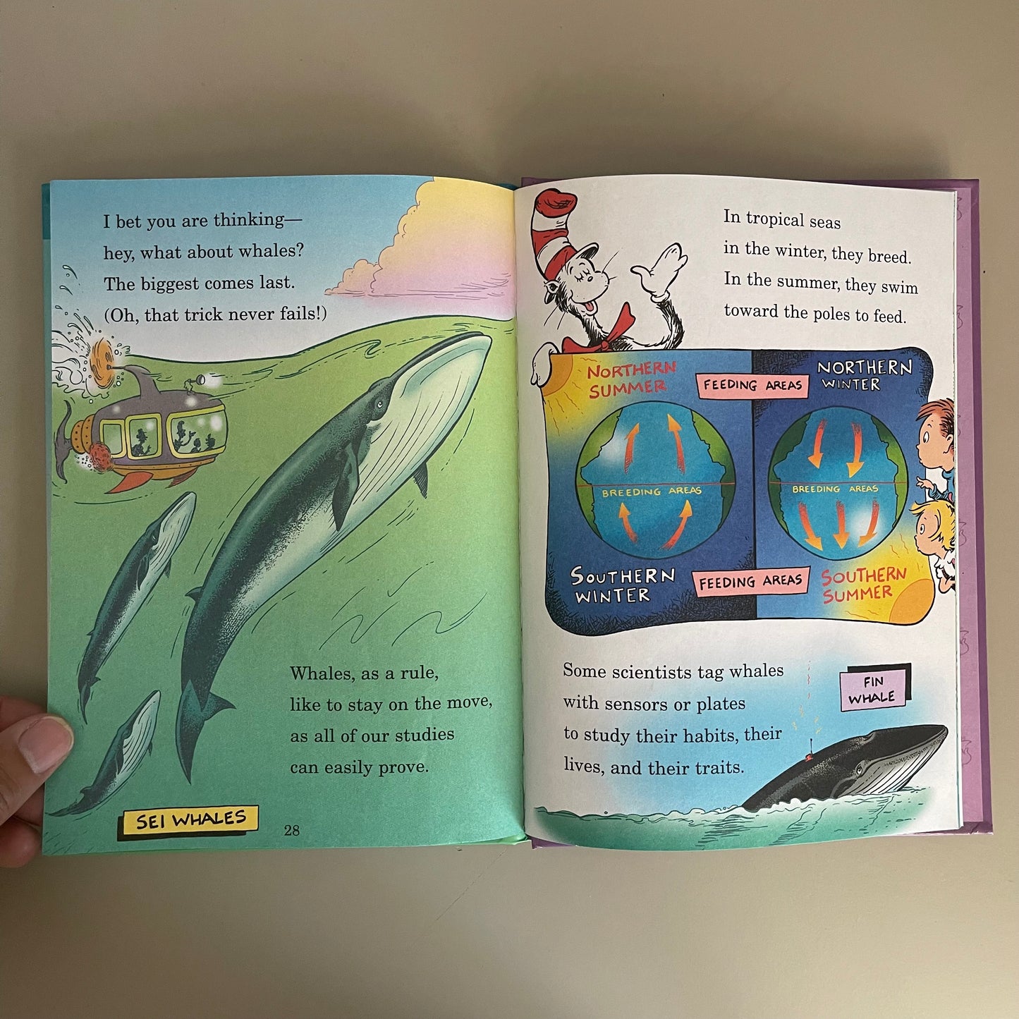 A Whale of a Tale! / Dr. Seuss & Bonnie Worth