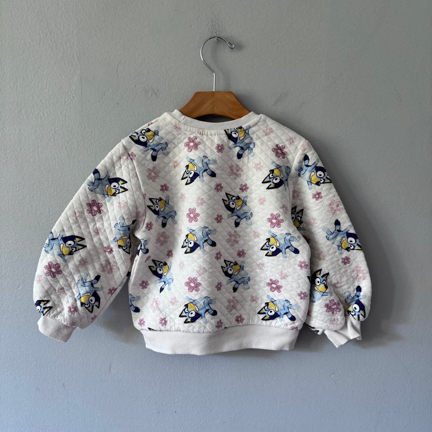 Bluey / White sweatshirt / 5T