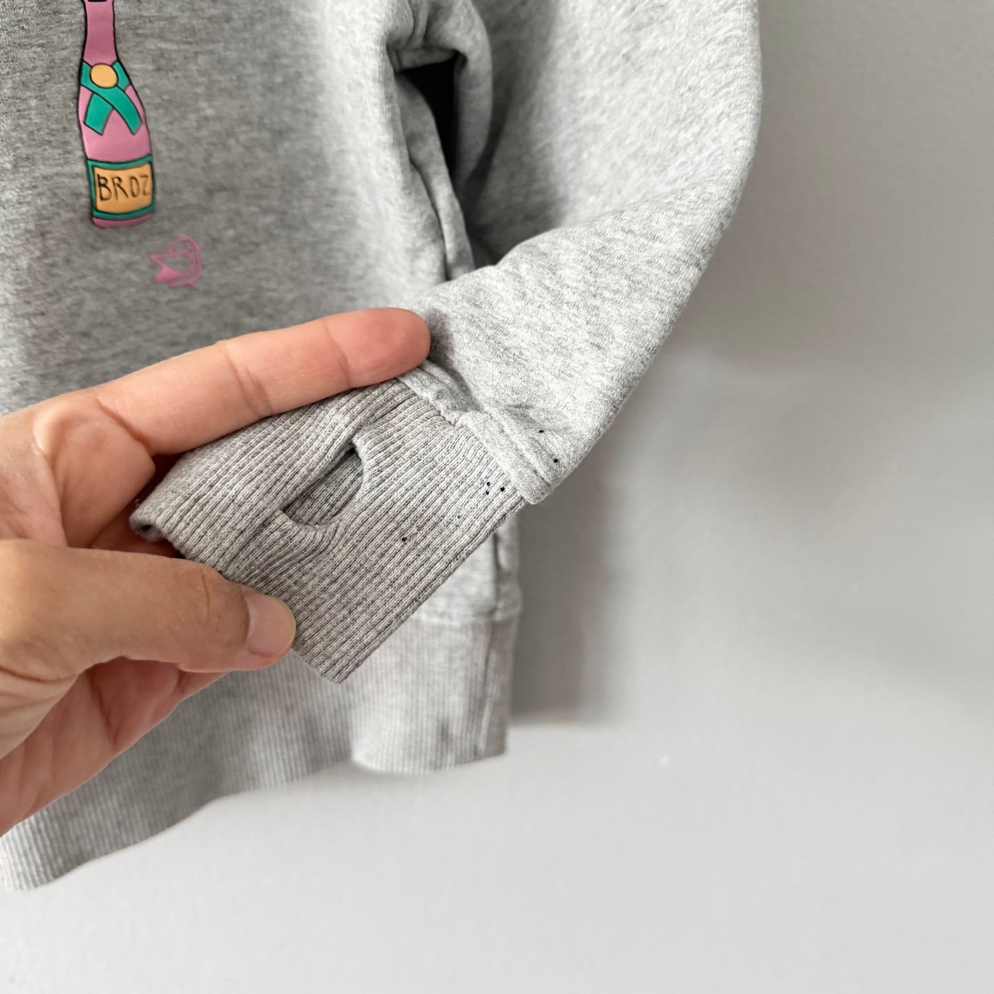 Birdz / Light grey sweatshirt / 5Y