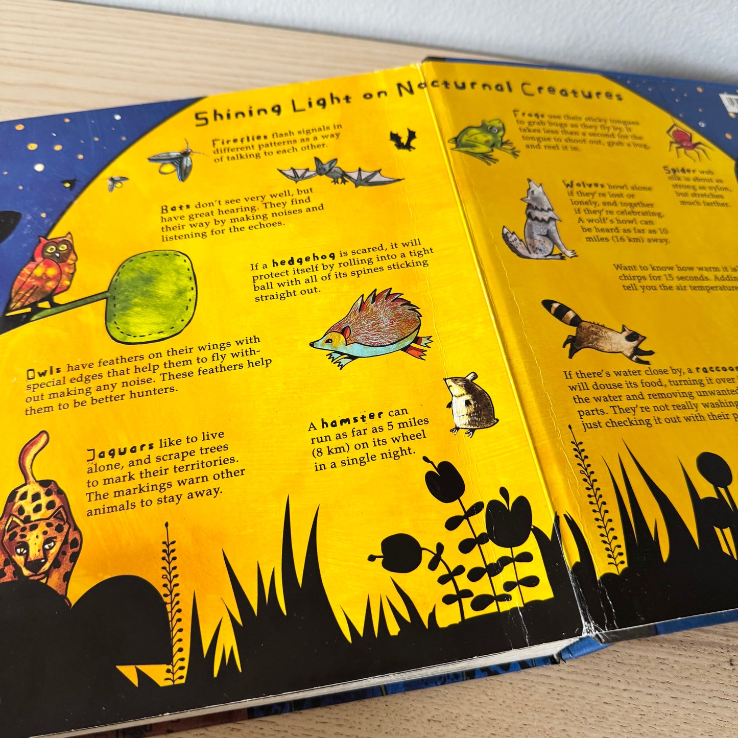 Lights Out, Night's Out / William Boniface