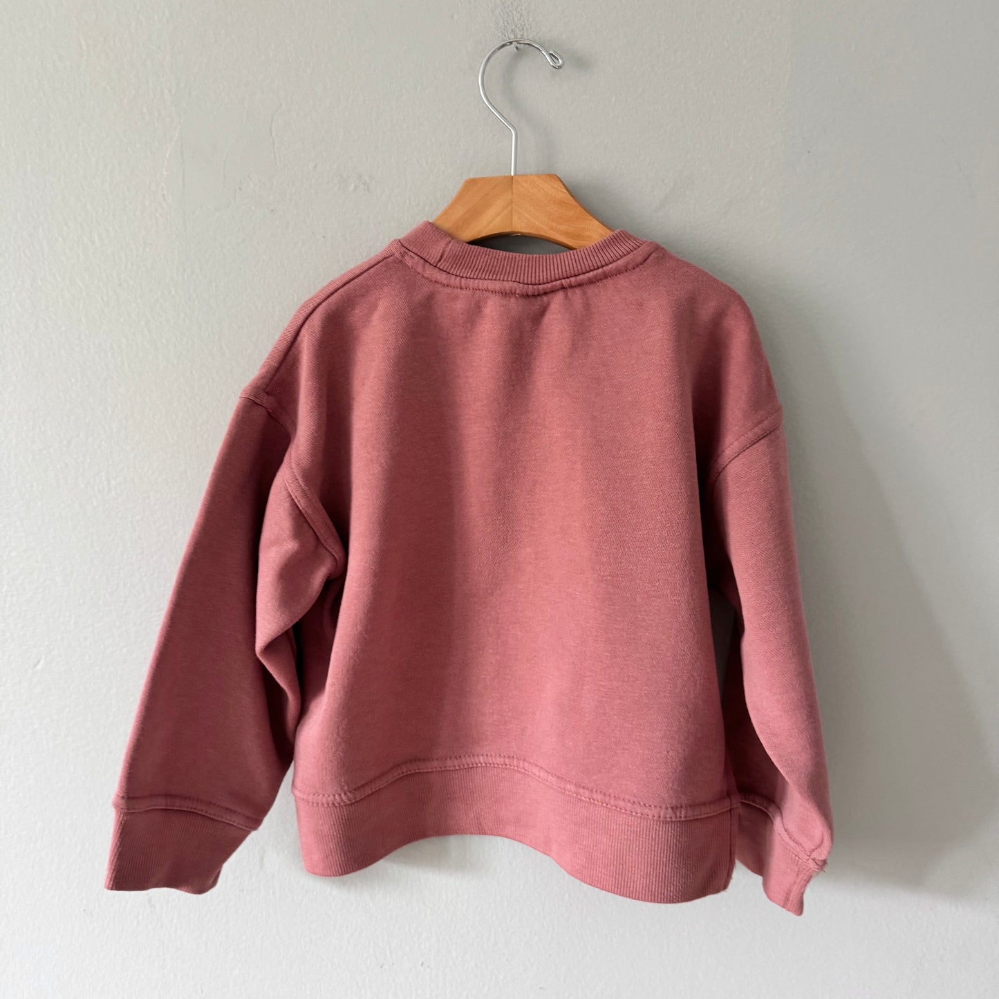 Zara / Red/pink brown sweatshirt / 6Y