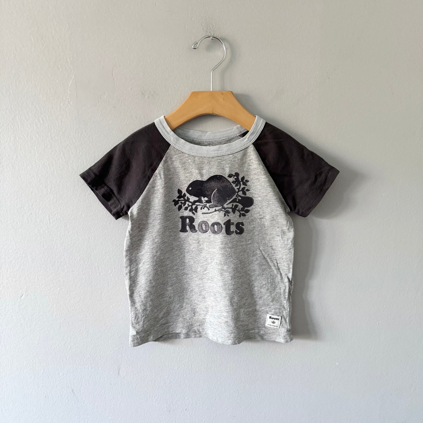 Roots / Light grey raglan T-shirt / 3T
