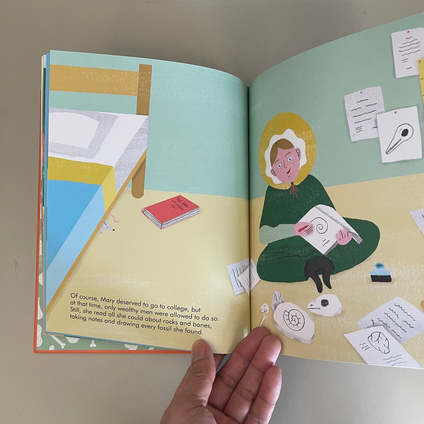 Little People, BIG DREAMS - Mary Anning