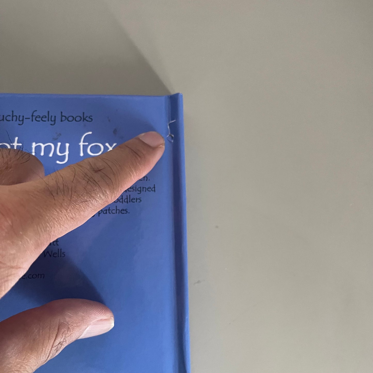 Usborne touchy-feely books - That's not my fox
