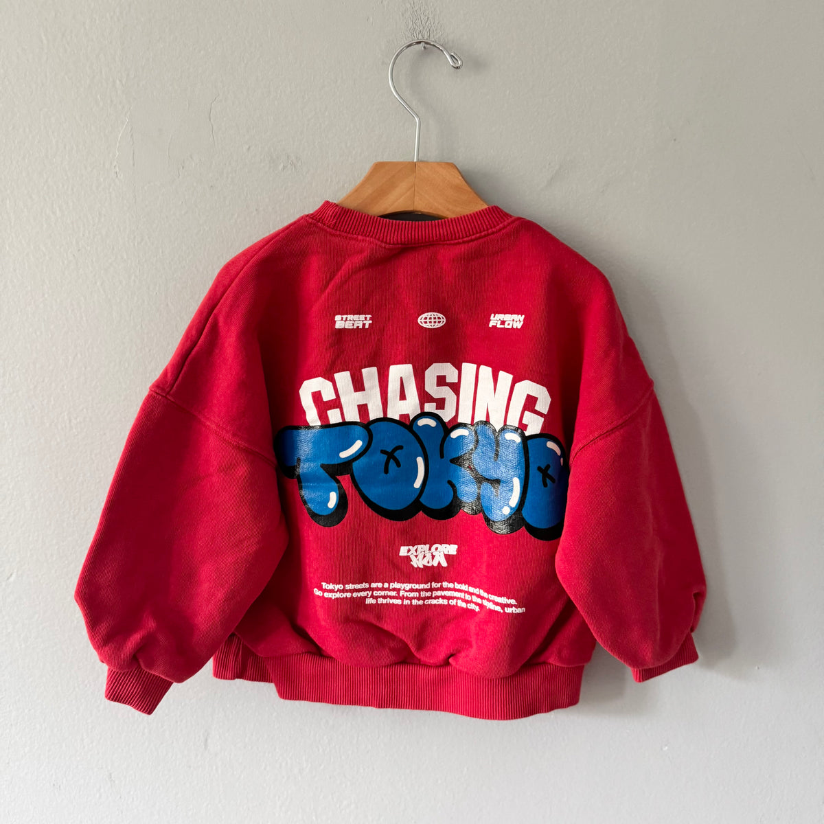 Zara / Red sweatshirt / 5Y