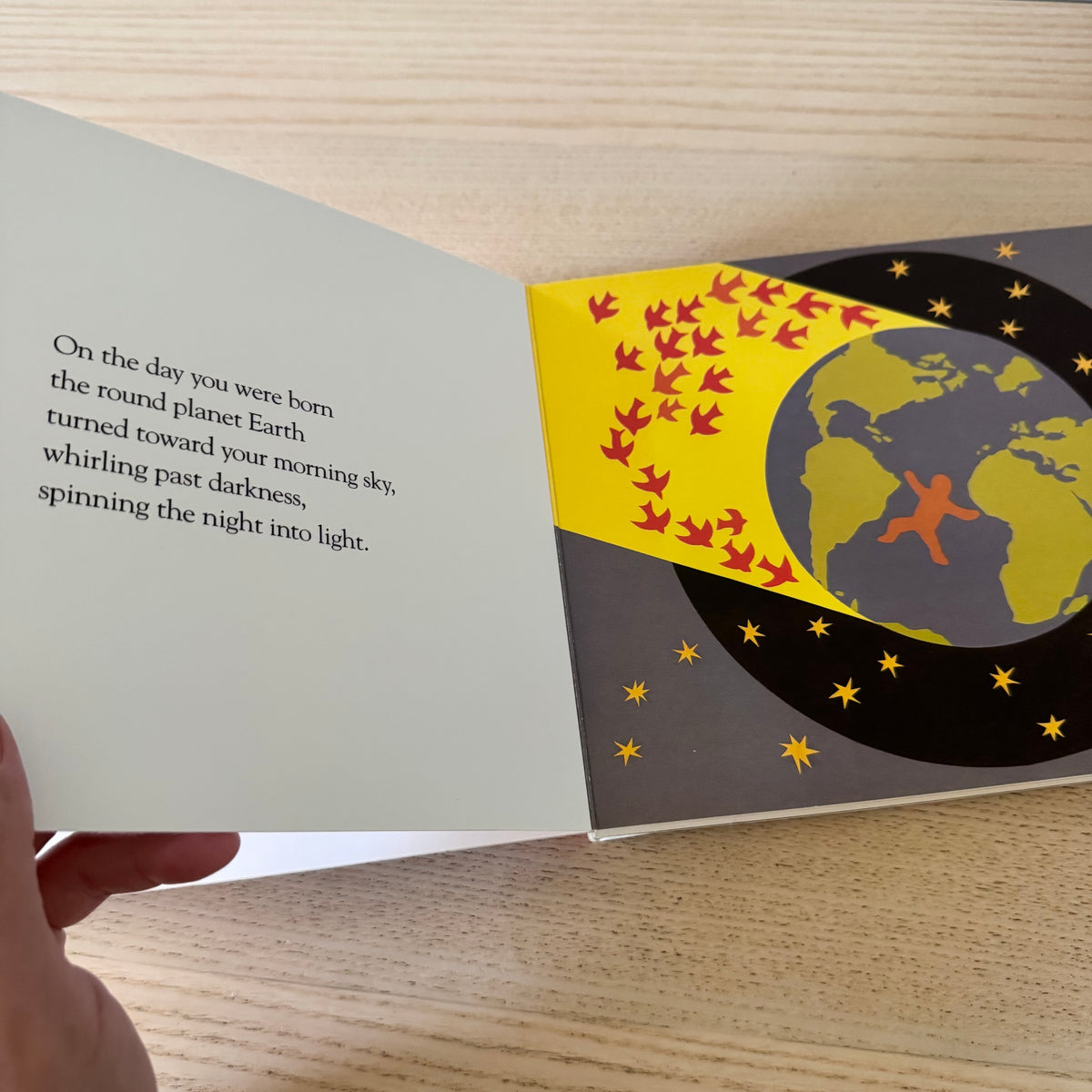 On the Day You Were Born / Debra Frasier