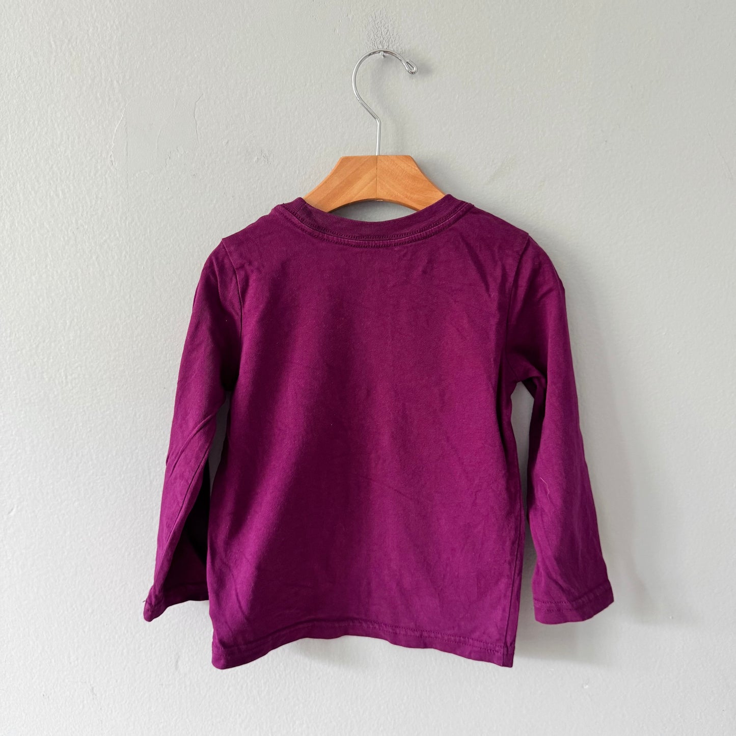 Roots / Purple long sleeve / 3T