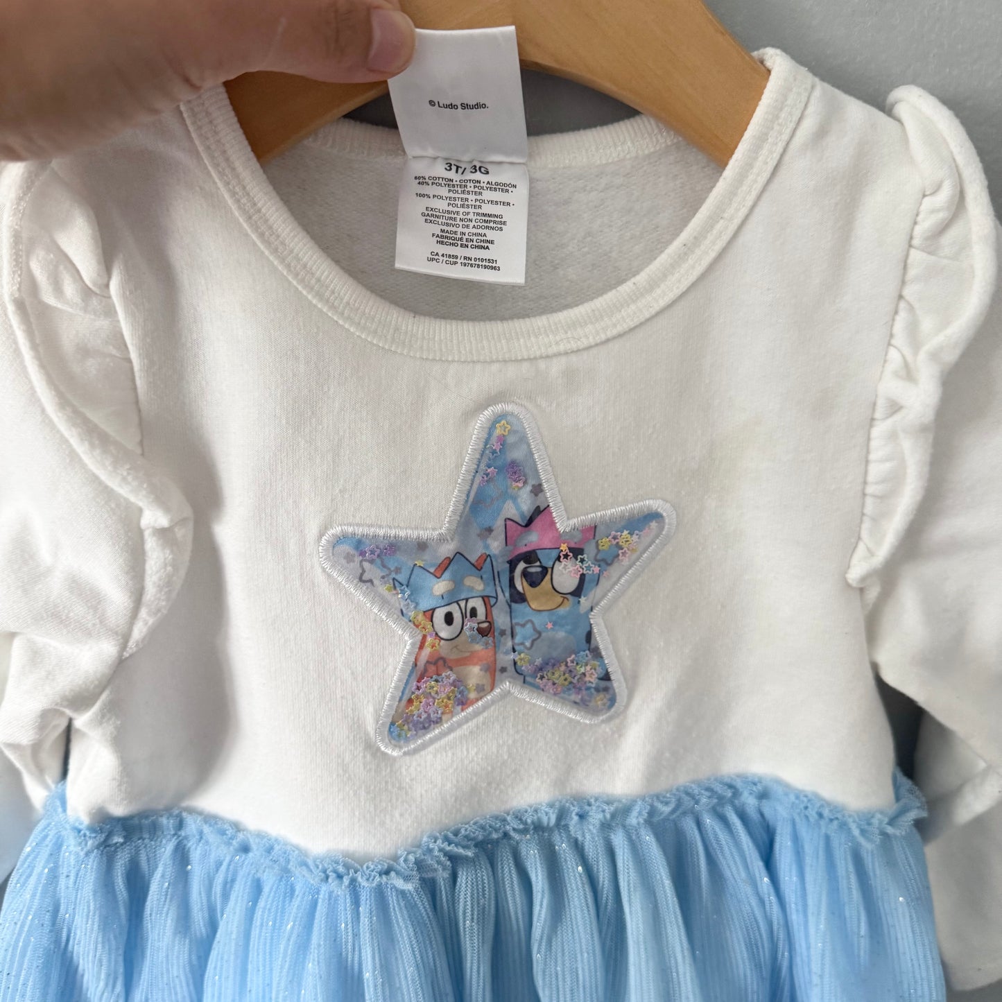 Bluey / White x blue tutu dress / 3T