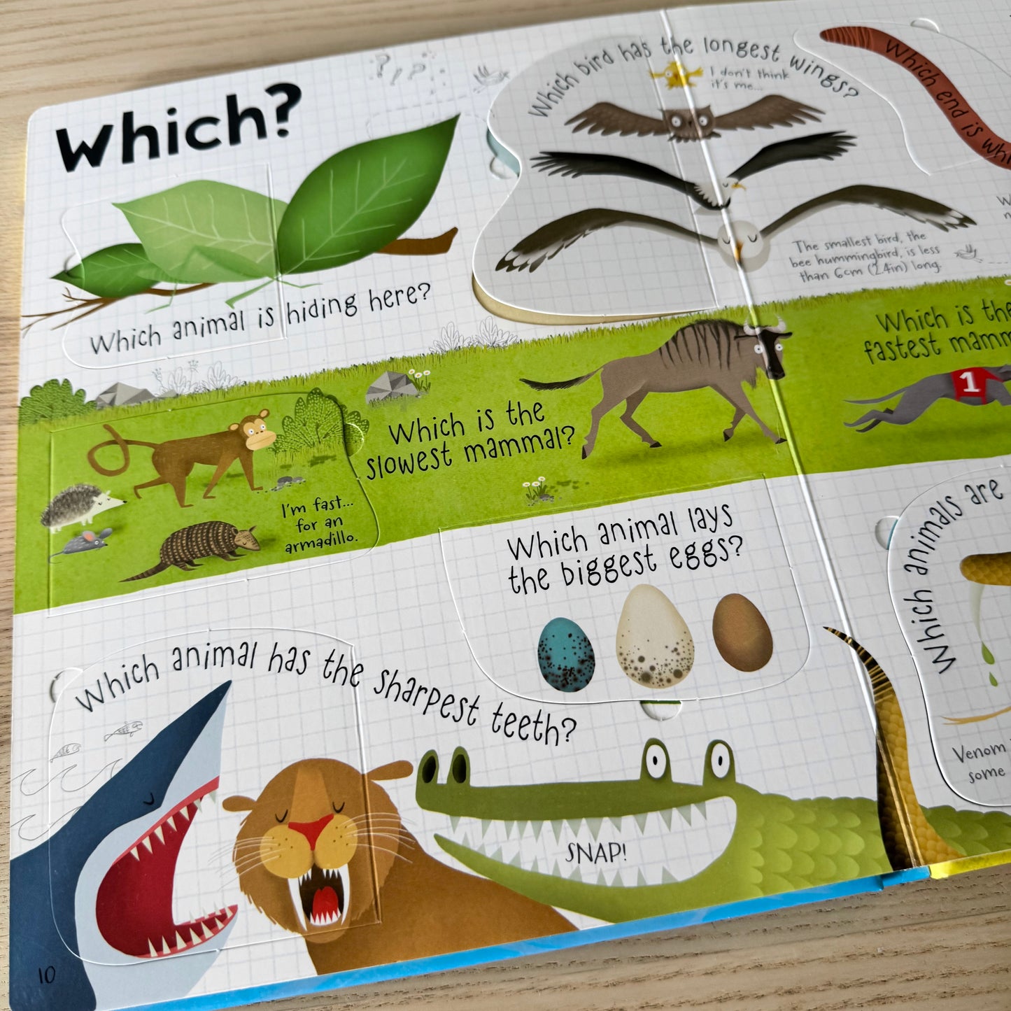 Usborne Lift-the-flap - Questions and Answers about Animals