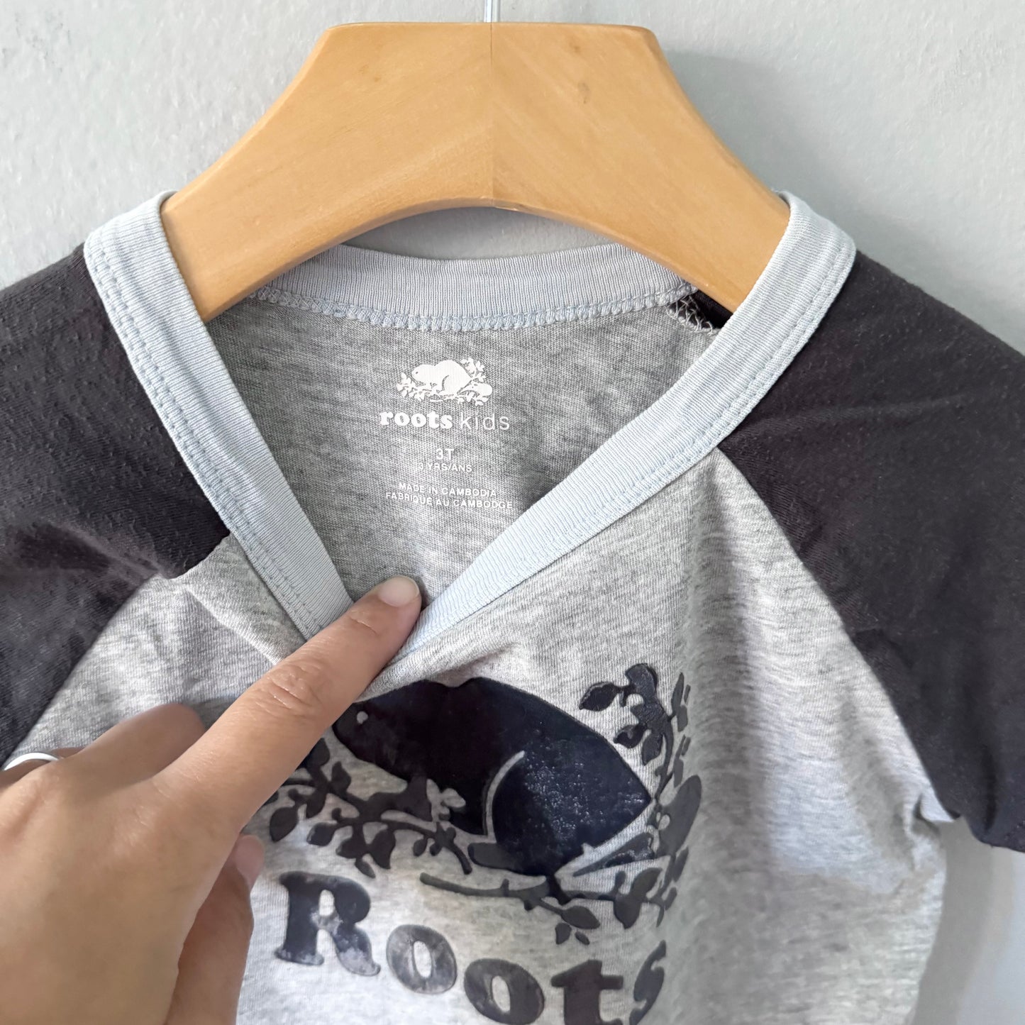 Roots / Light grey raglan T-shirt / 3T