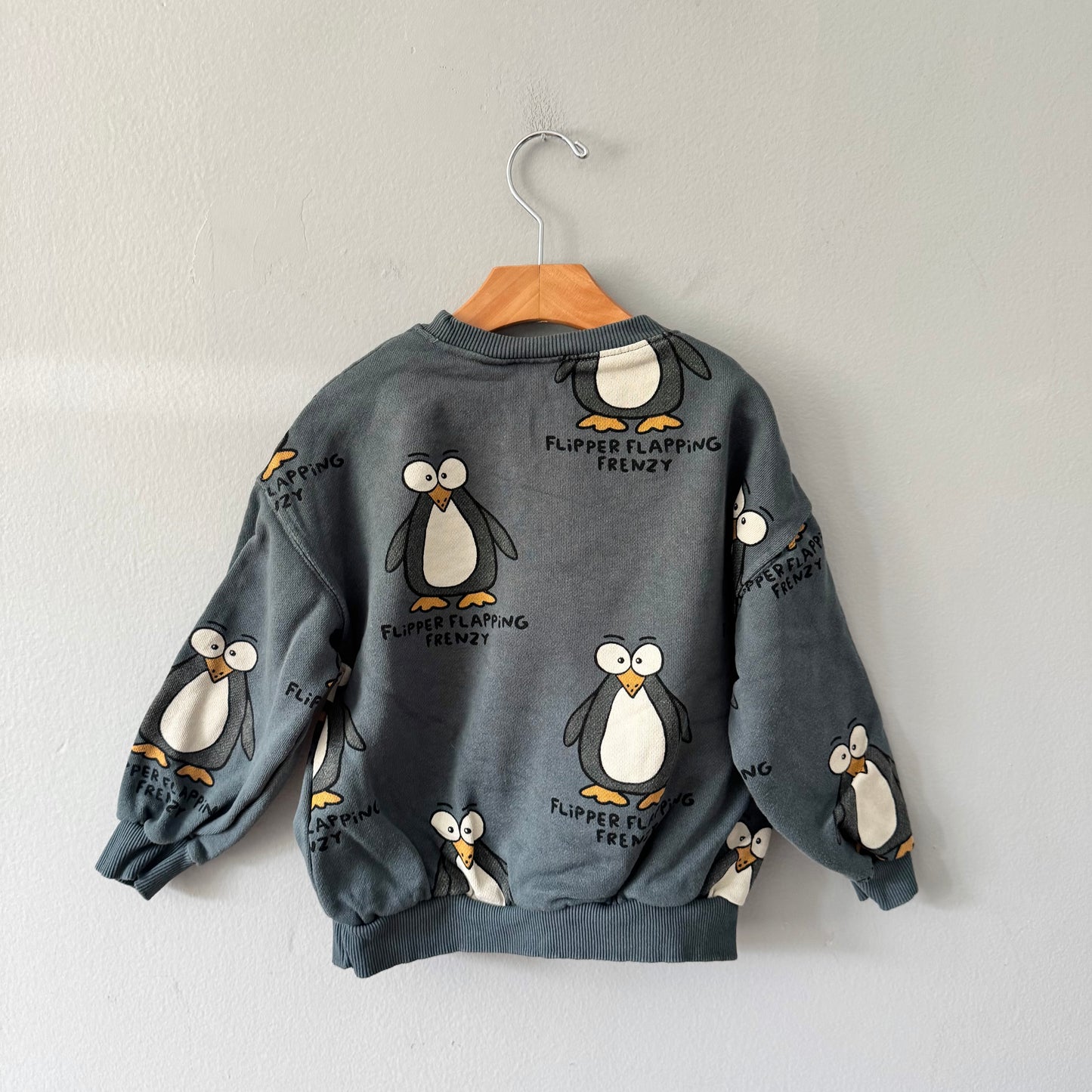 Zara / Penguin sweatshirt / 6Y