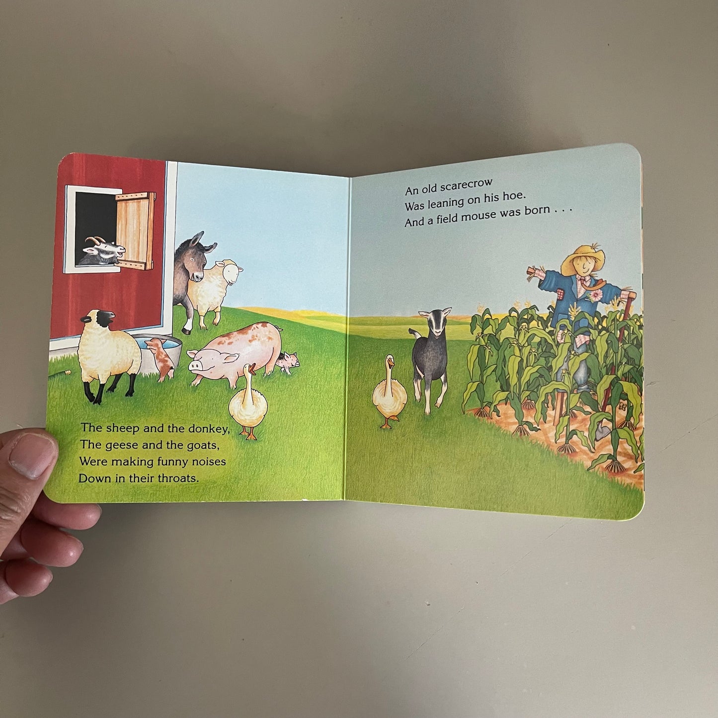 Big Red Barn / Margaret Wise Brown