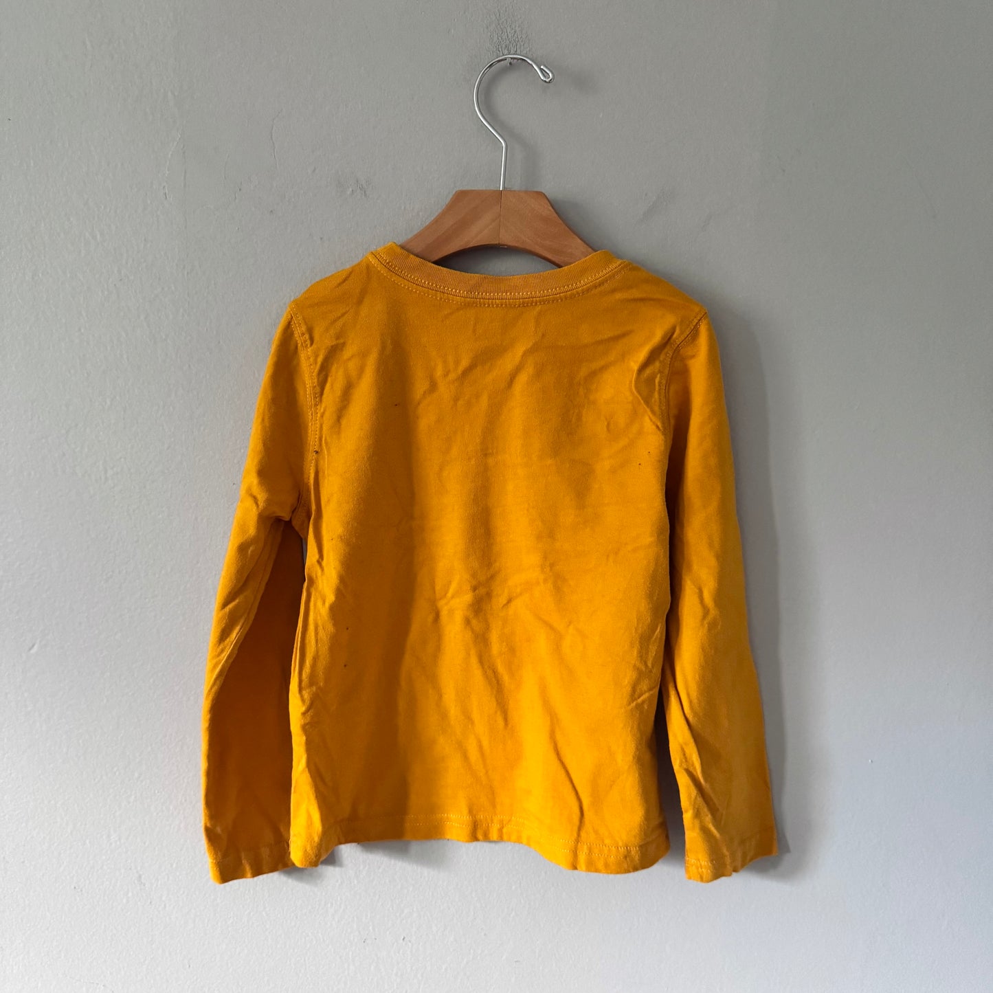 Roots / Yellow long sleeve / 5T