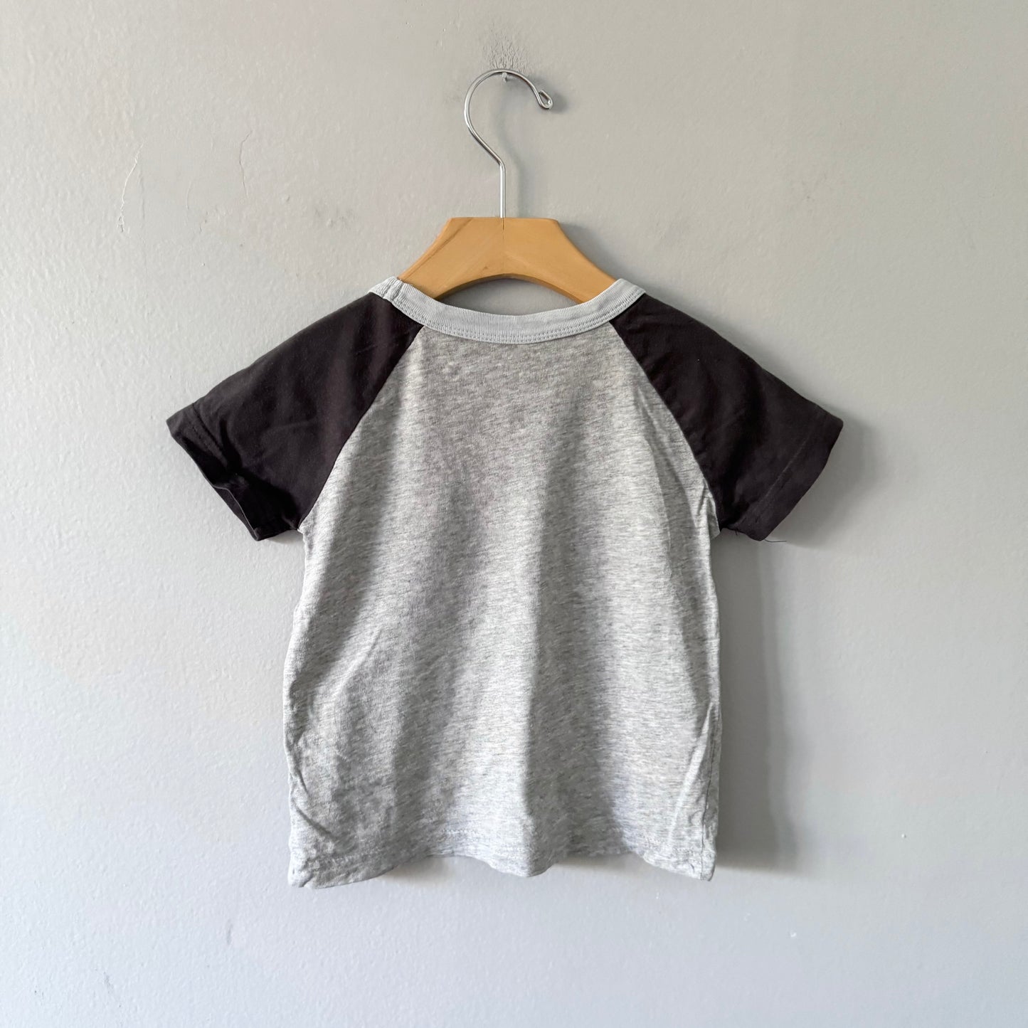 Roots / Light grey raglan T-shirt / 3T