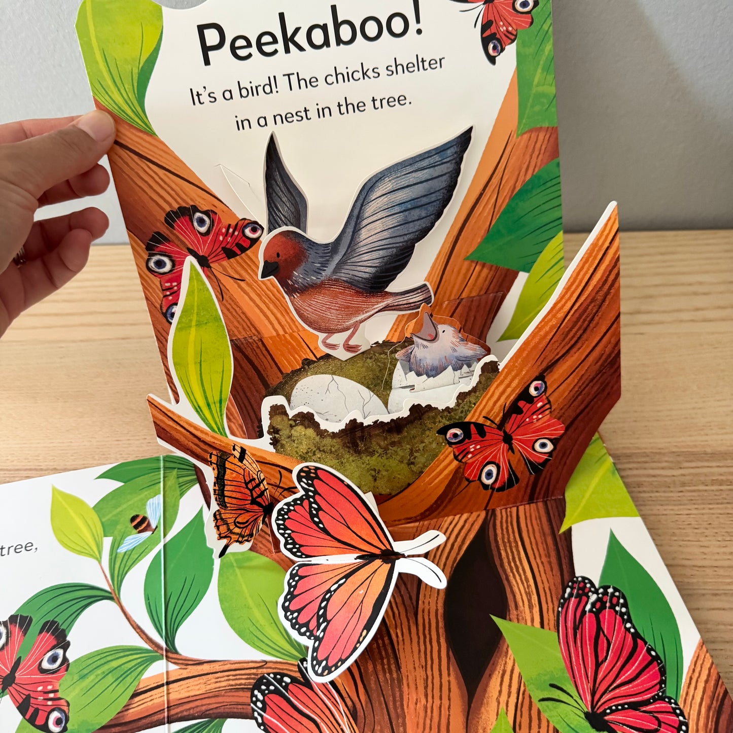 Pop-Up Peekaboo! - Tree