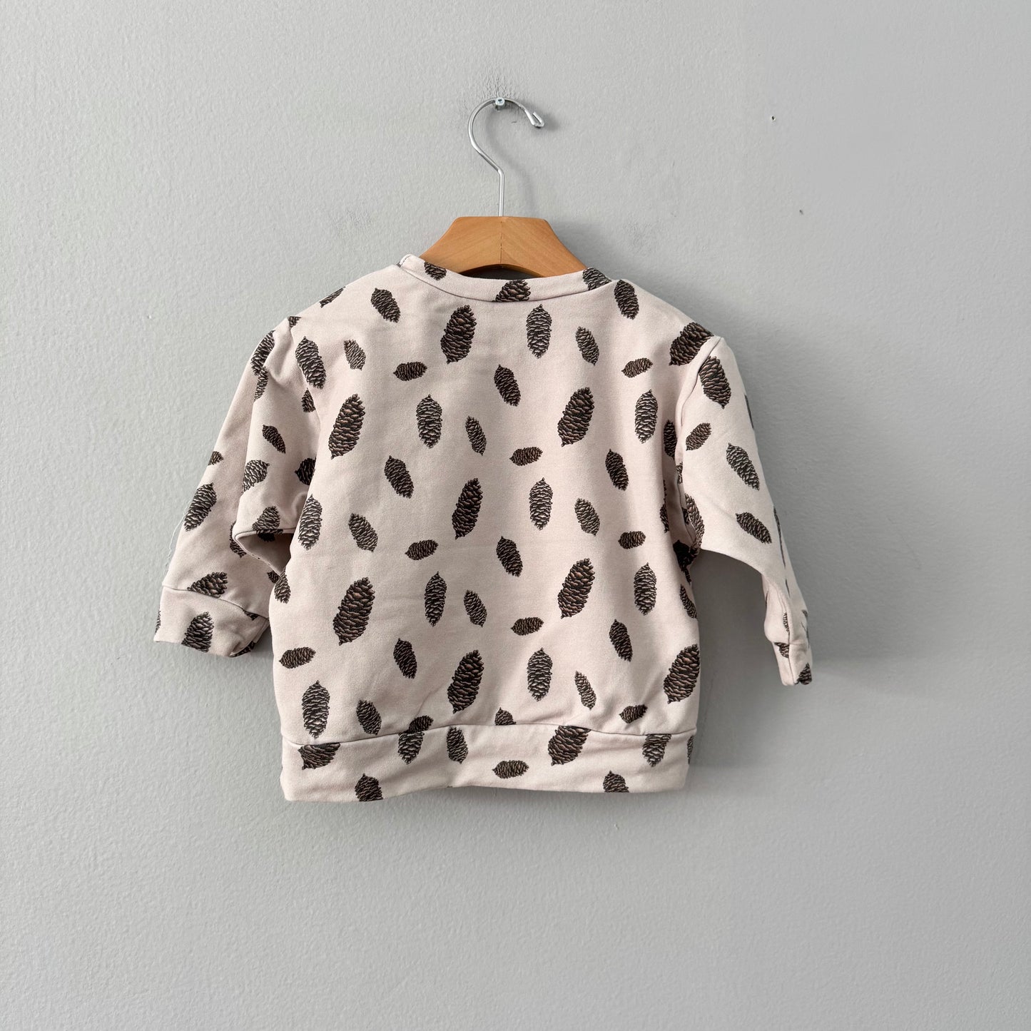 Unknown brand / Pinecones sweatshirt / 9-12M