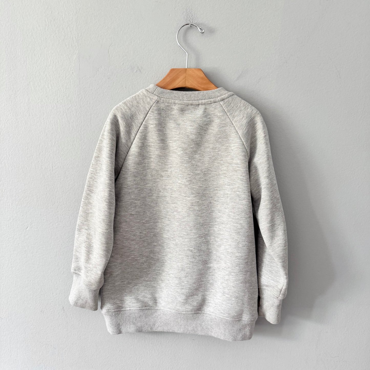 Birdz / Light grey sweatshirt / 6Y