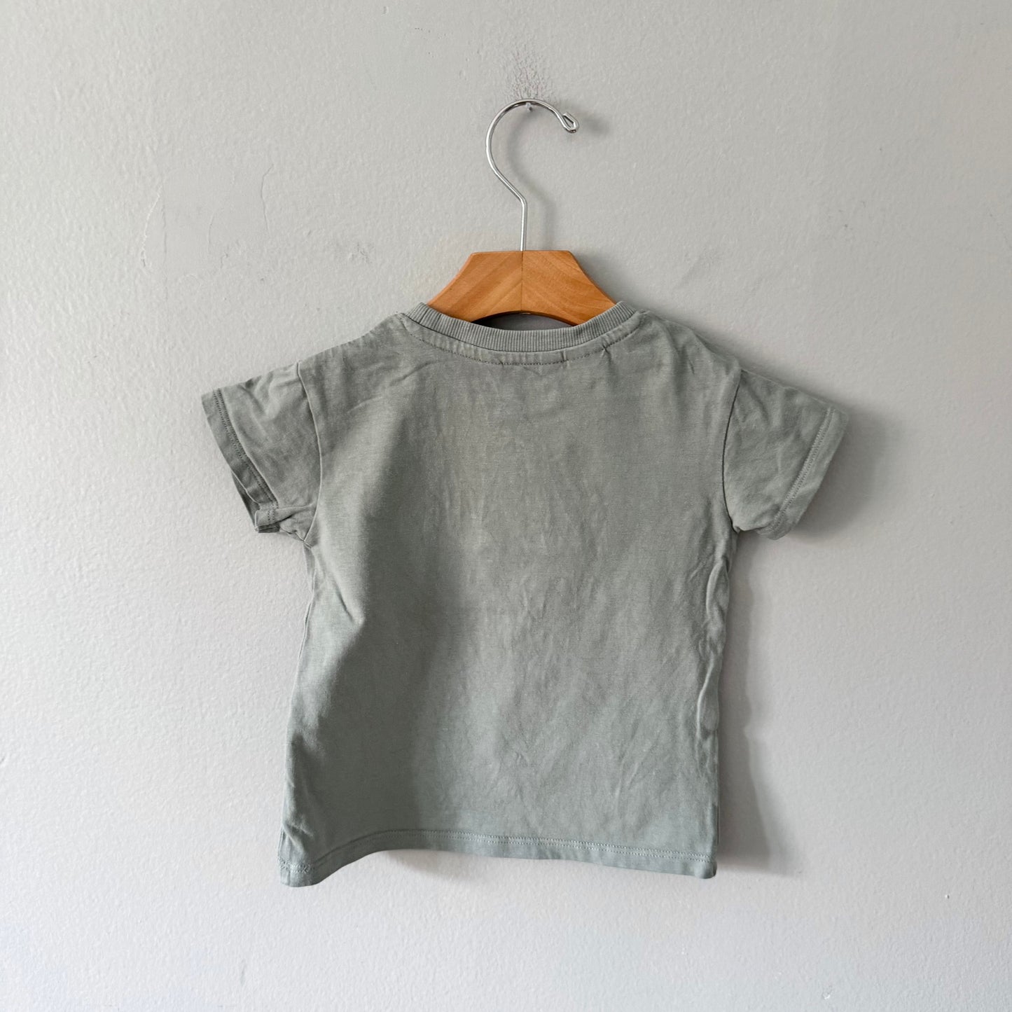 Mango / Dinosaur T-shirt / 12-18M
