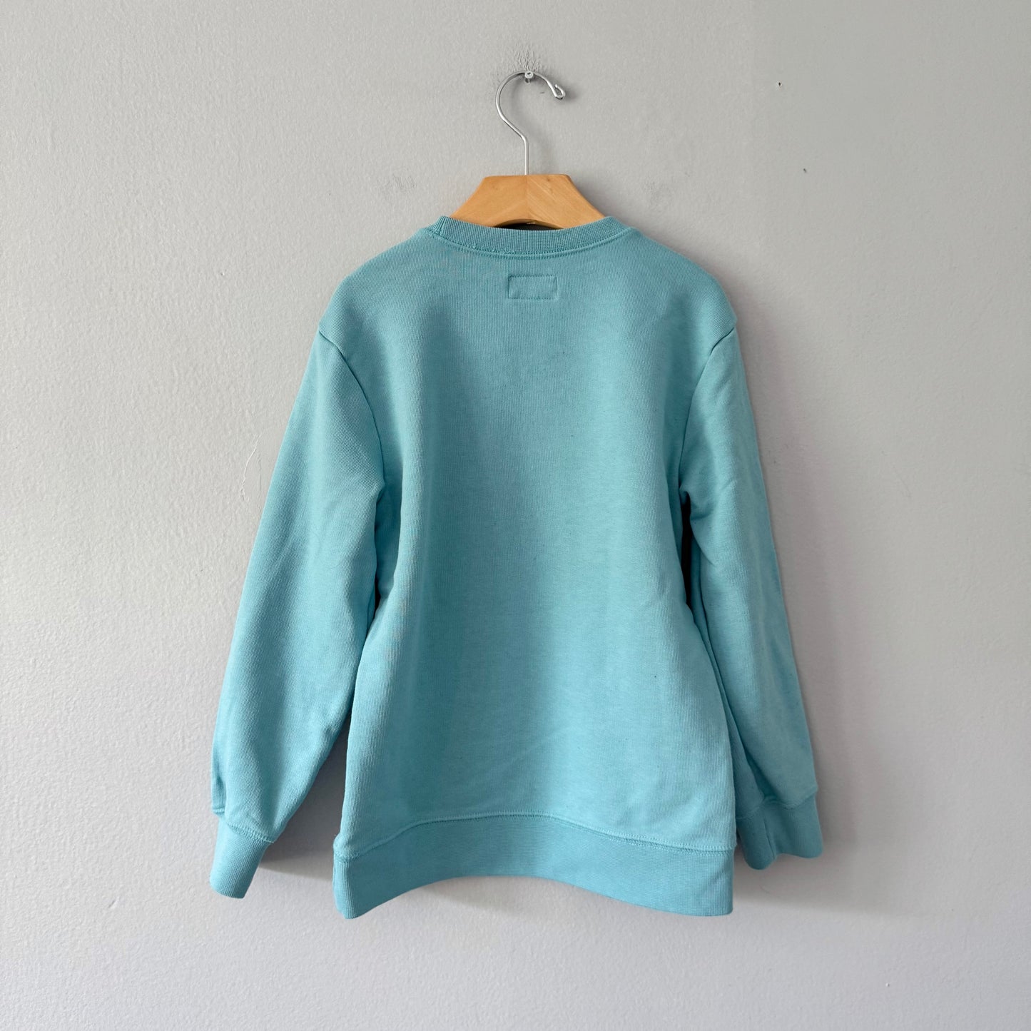 LL Bean / Light blue sweatshirt / 5-6Y