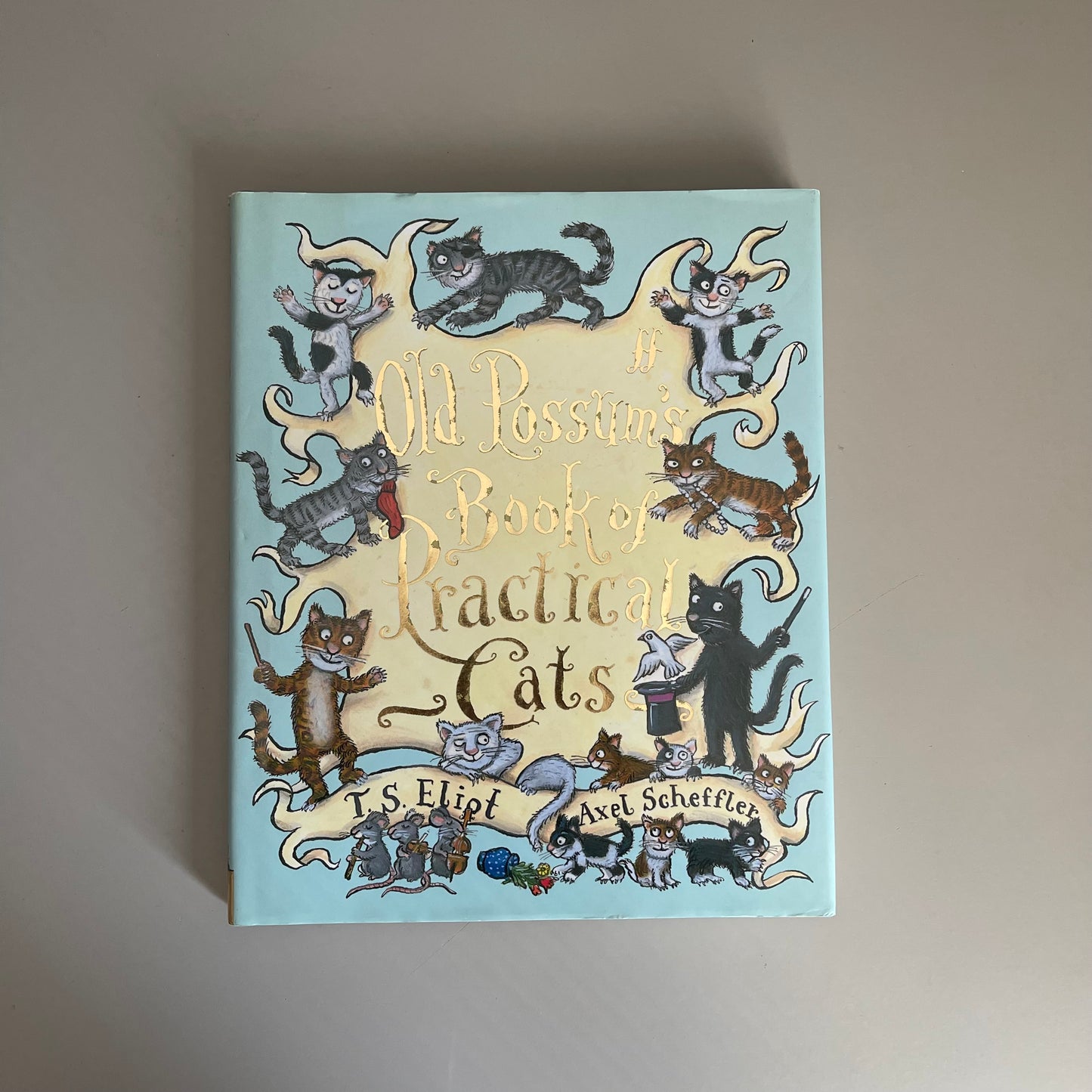 Old Possum's Book of Practical Cats / T.S Eliot & Axel Scheffler