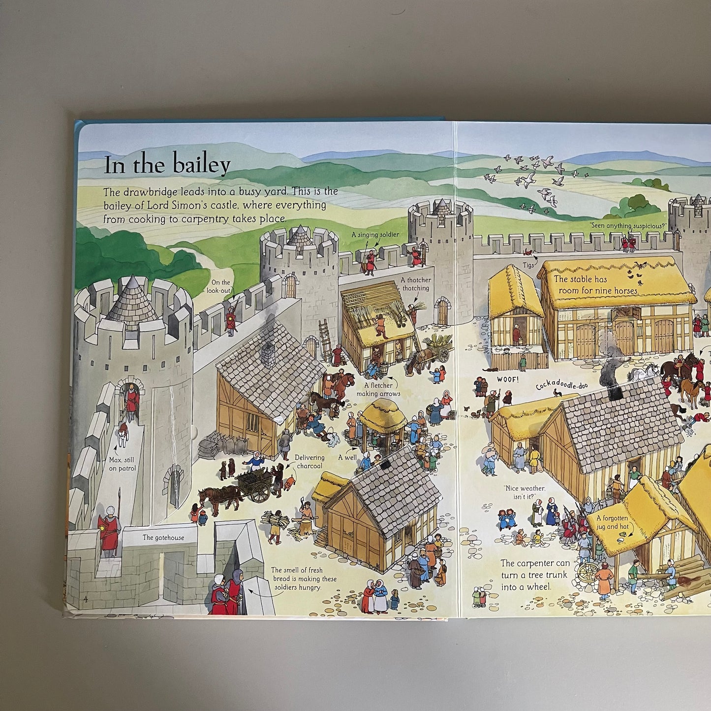 Usborne Flap Book - See inside Castles