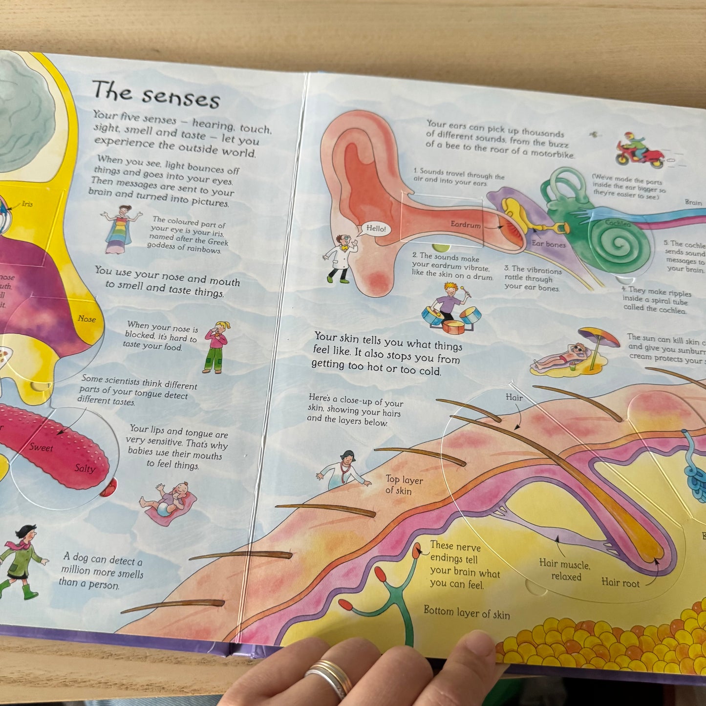 Usborne Flap Book - See inside Your Body
