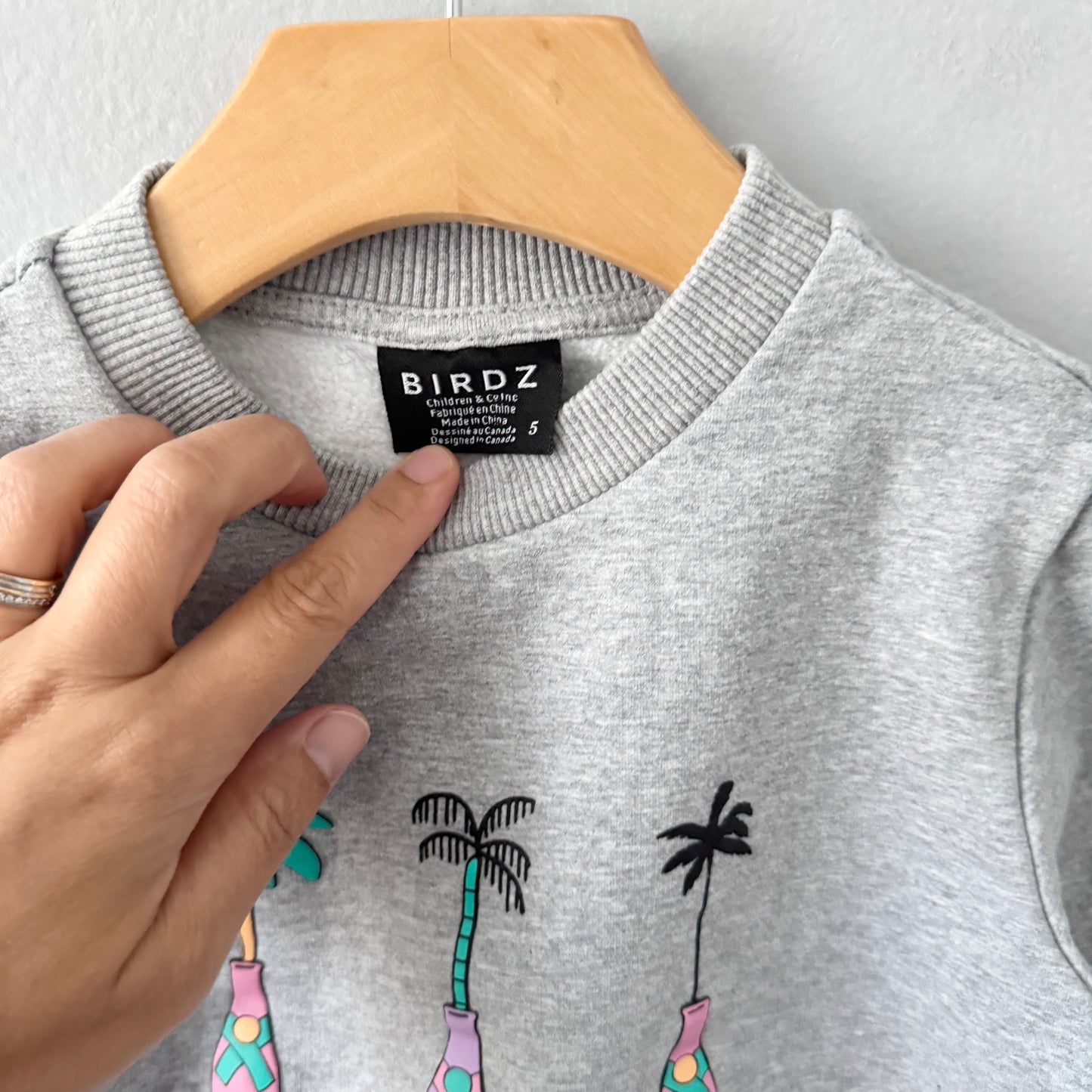 Birdz / Light grey sweatshirt / 5Y
