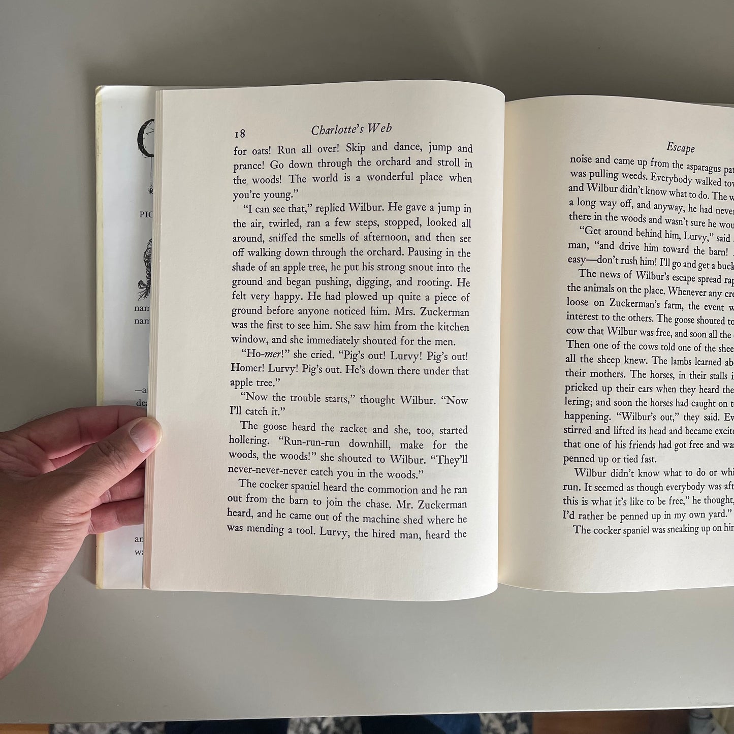Charlotte's Web (Special Giant Read Along Edition) / E.B. White