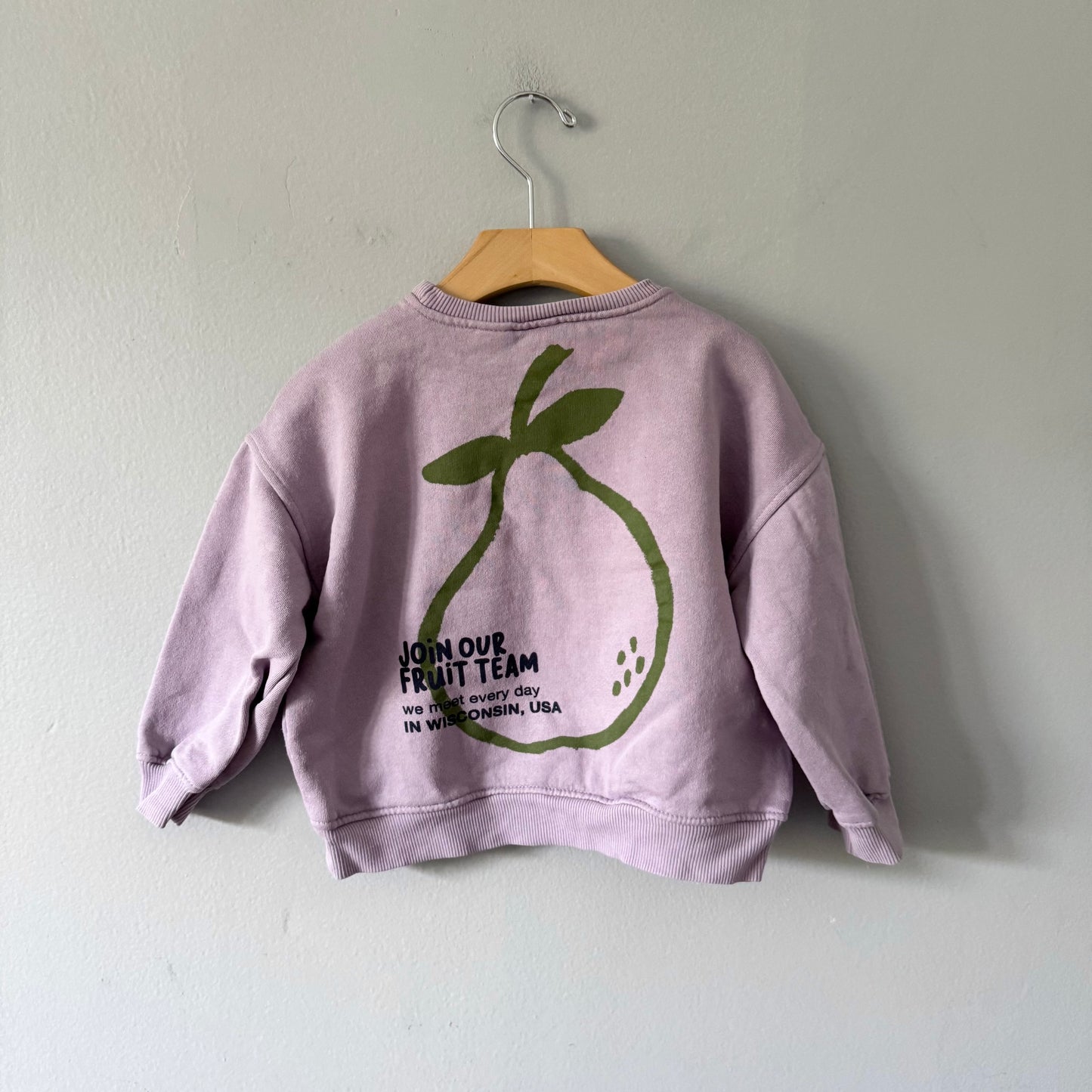 Zara / Purple sweatshirt / 3-4Y
