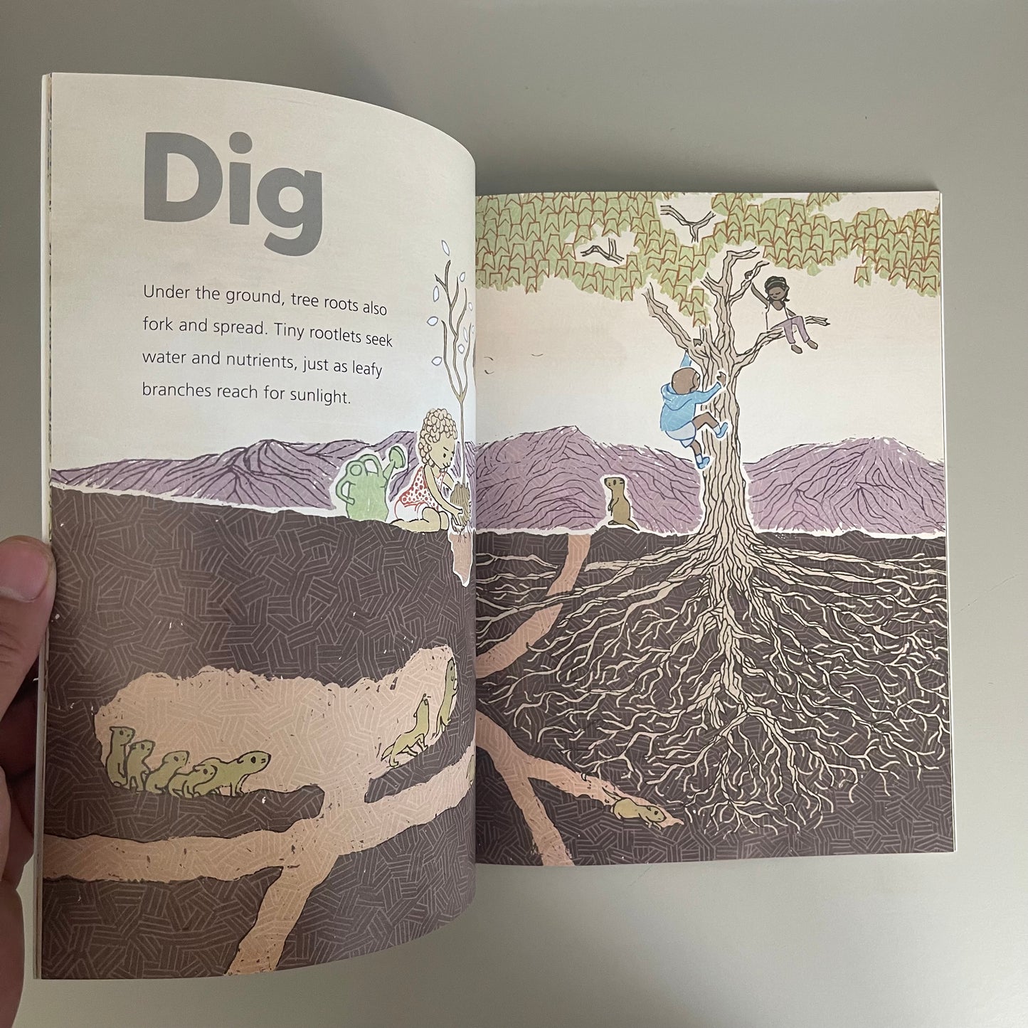 Flow Spin Grow - Looking for Patterns in Nature / Patchen Barss & Todd Stewart