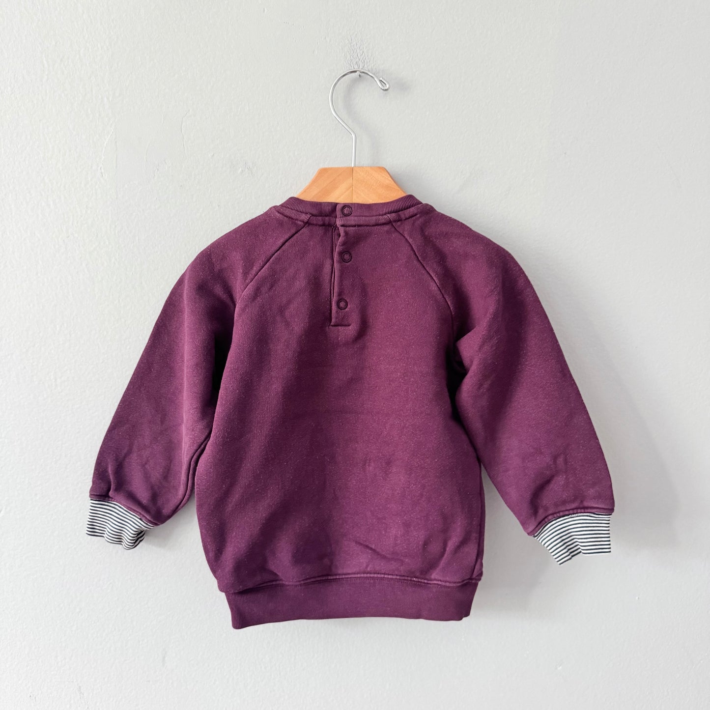 Petit Bateau / Burgundy sweatshirt / 24M